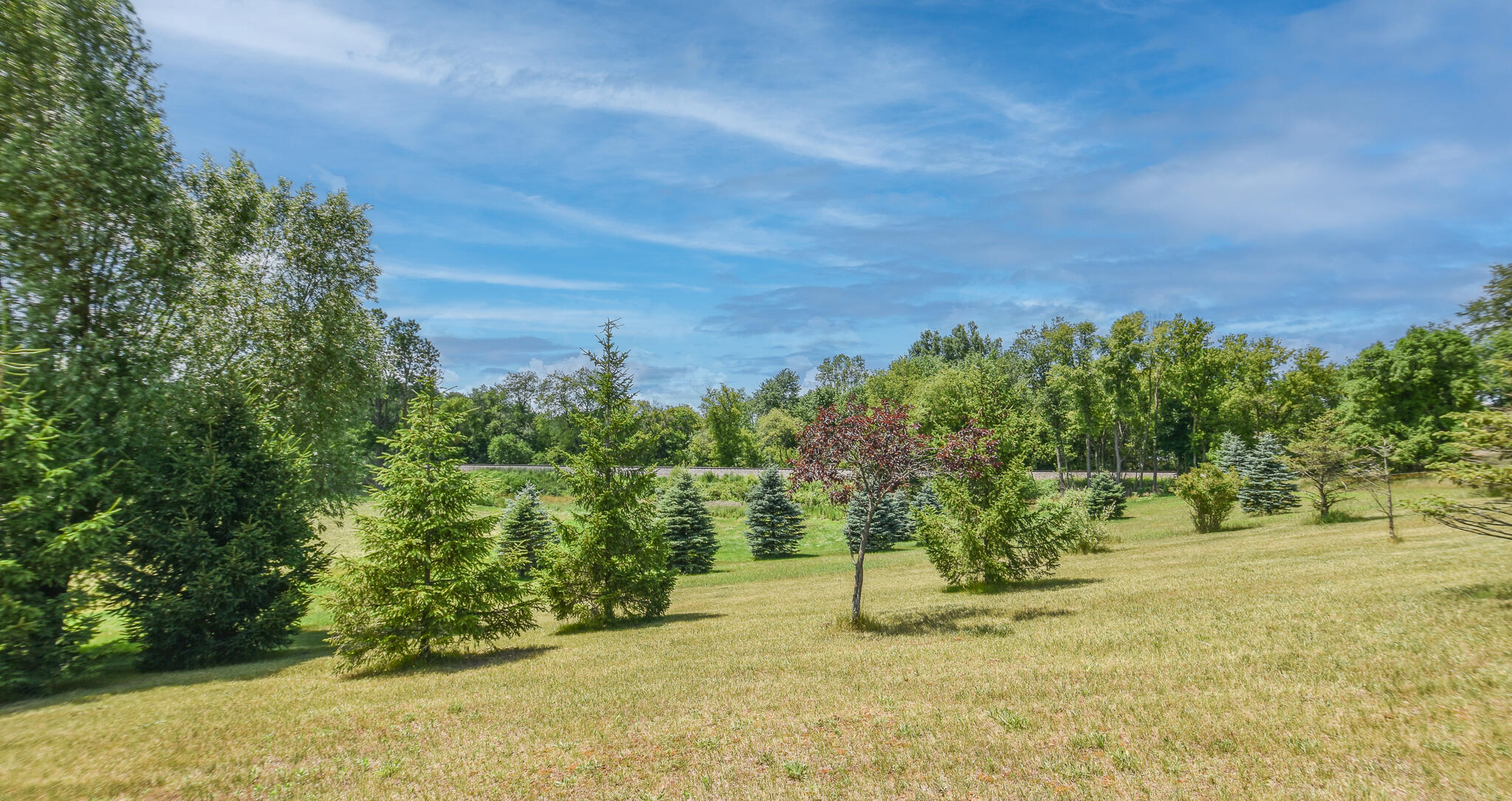 9642 Long Lake Road Montgomery, MI 49255 - Photo 7 of 39 DSC_0271-Edit