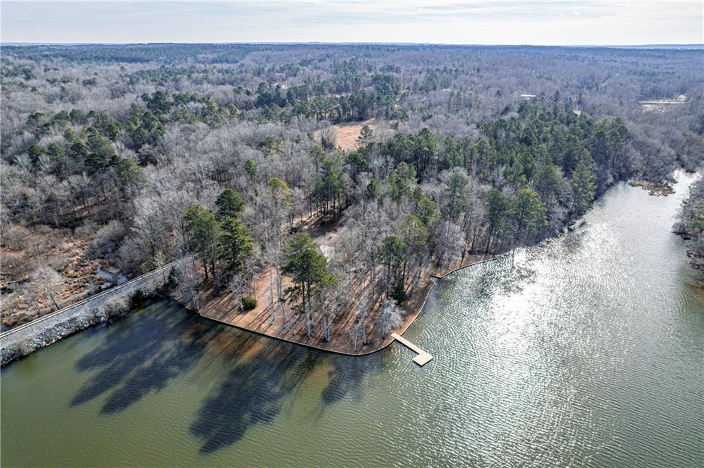 a view of a lake in middle of forest