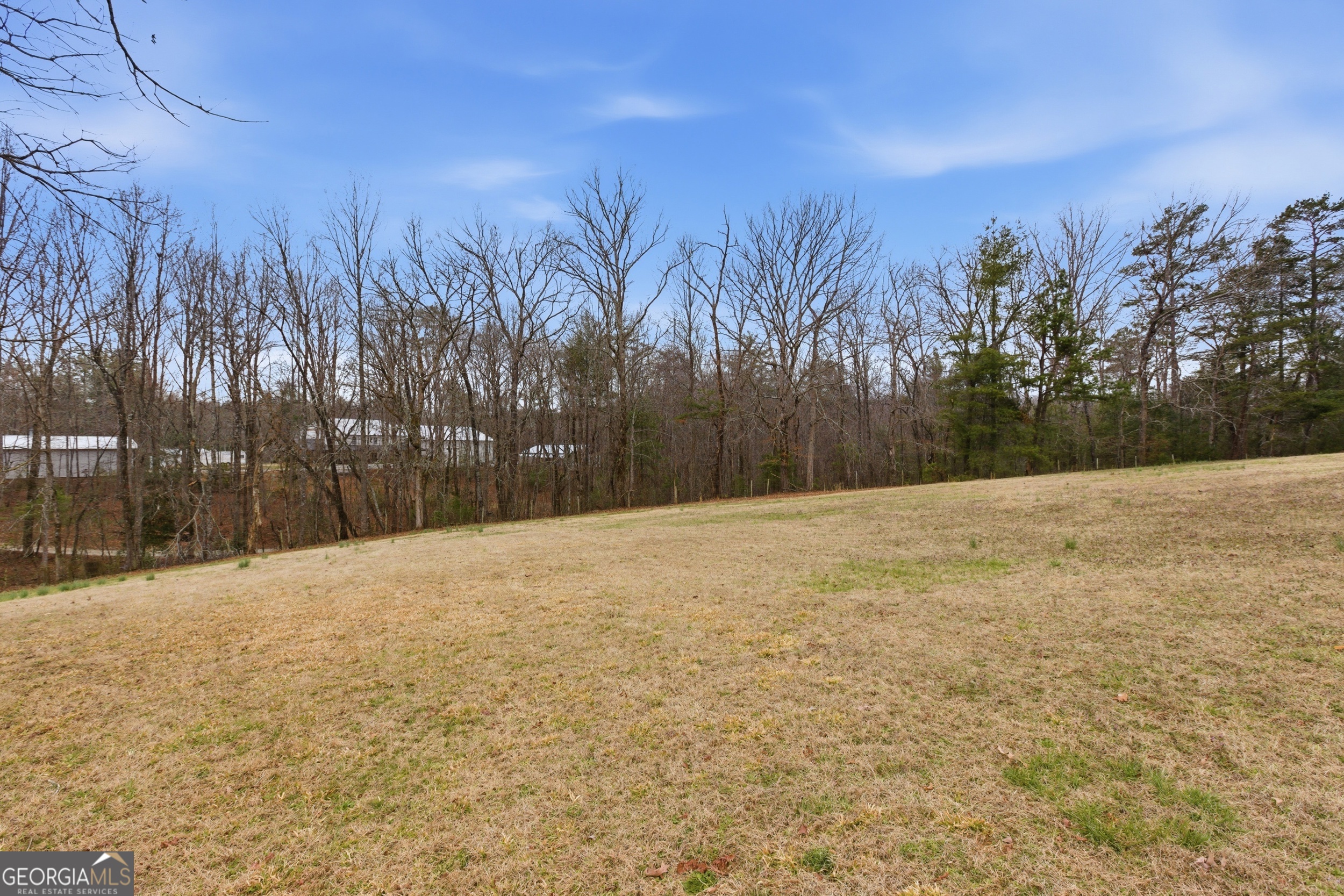 611 Dooley Road Clarkesville, GA 30523 - Photo 36 of 55