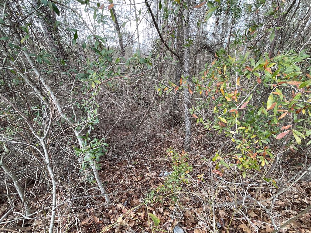 0 Booster Club Road, Unit 39 Bainbridge, GA 39819 - Photo 10 of 24 Gallery Image 10