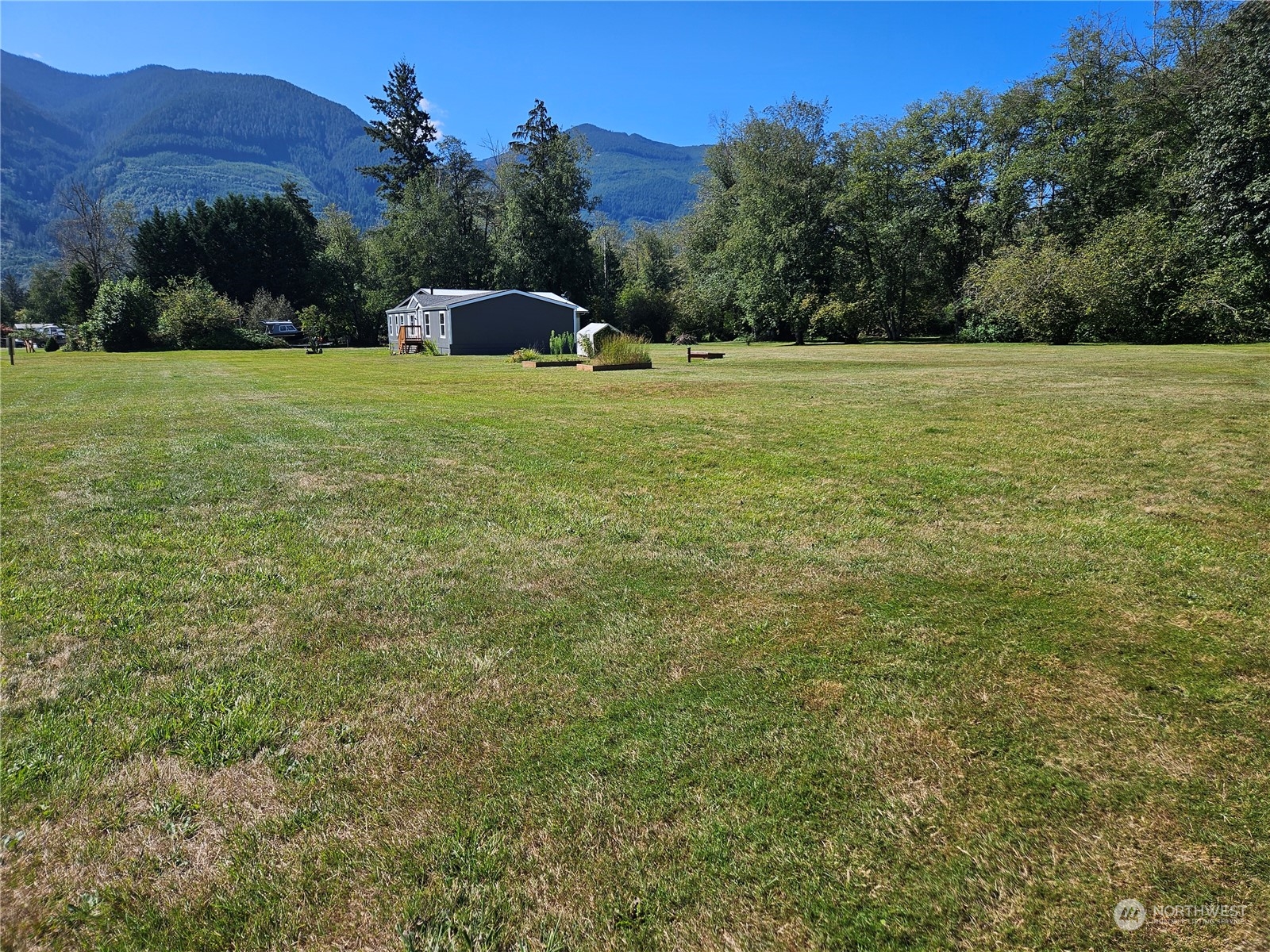 8292 Emmanuel Drive Concrete, WA 98237 - Photo 33 of 40 a view of a field with a tree in the background