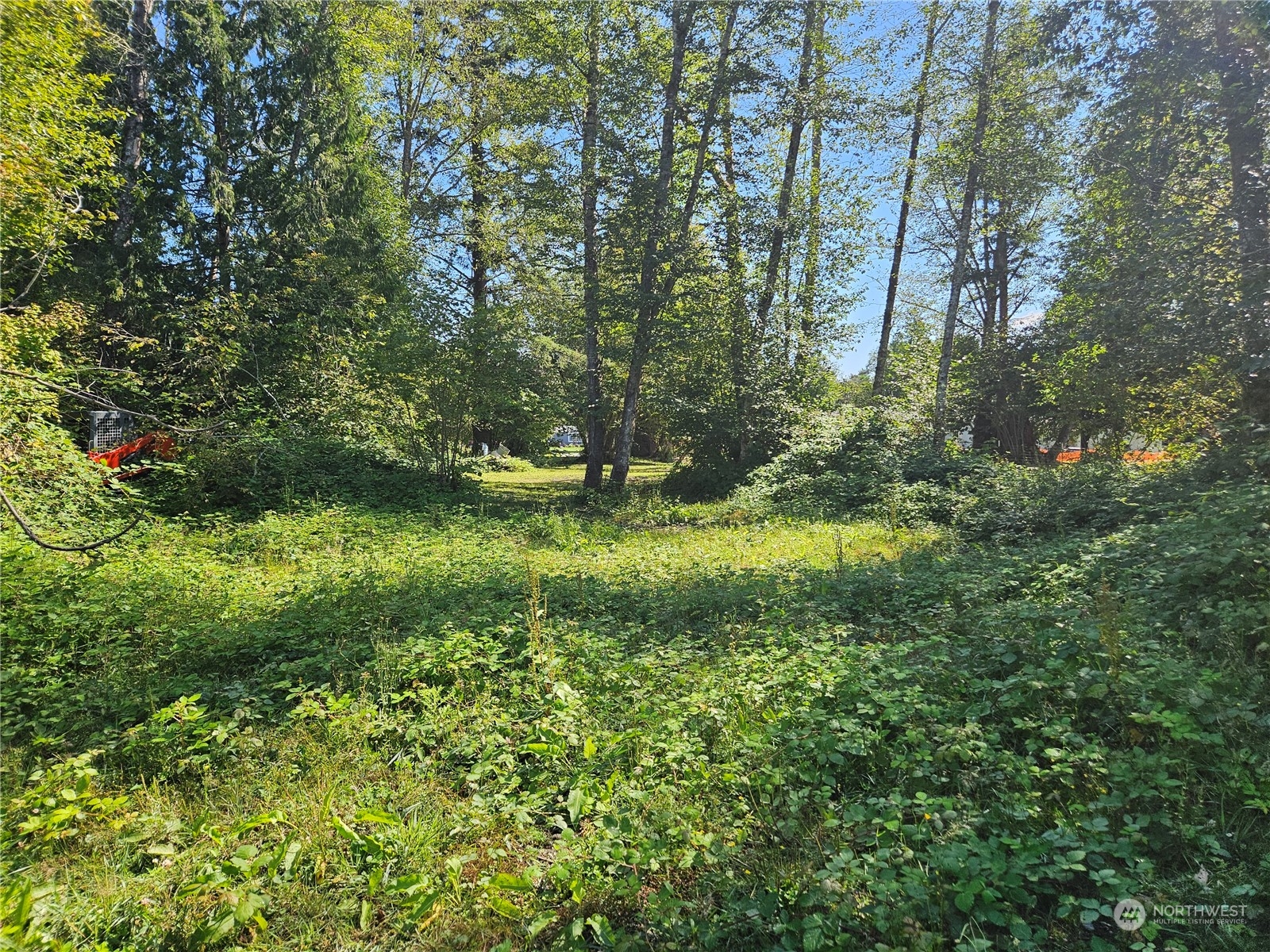8292 Emmanuel Drive Concrete, WA 98237 - Photo 39 of 40 a view of outdoor space and yard