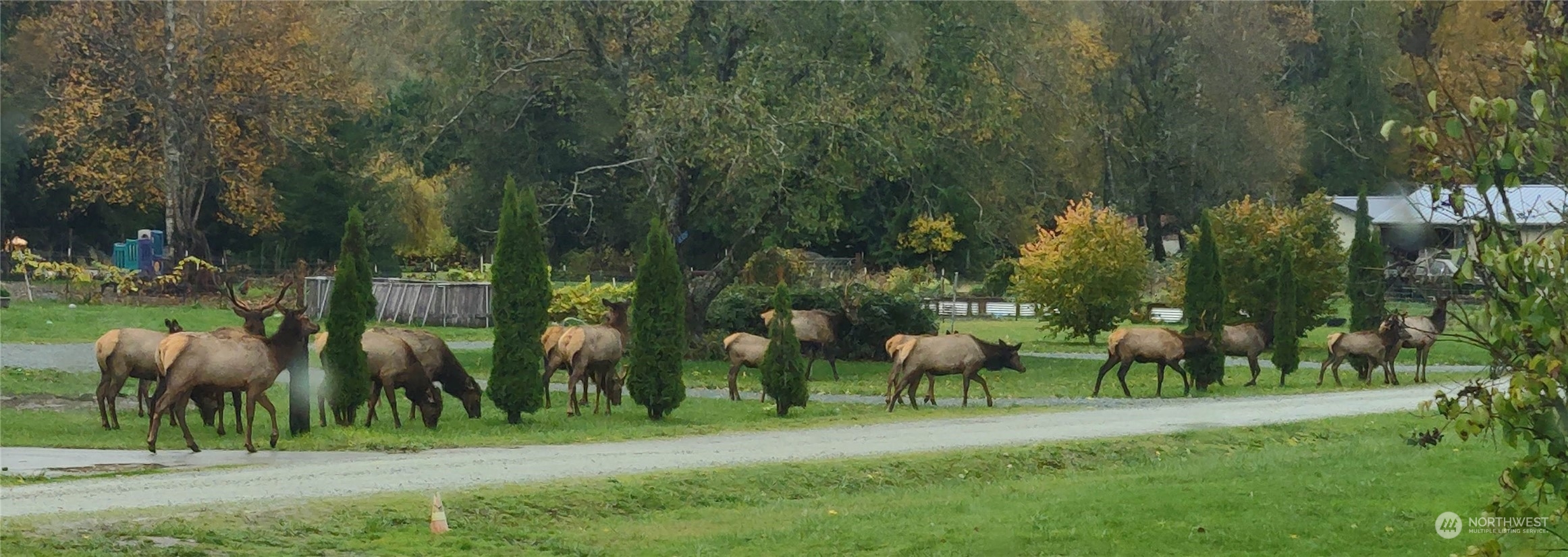 8292 Emmanuel Drive Concrete, WA 98237 - Photo 40 of 40 a view of a park