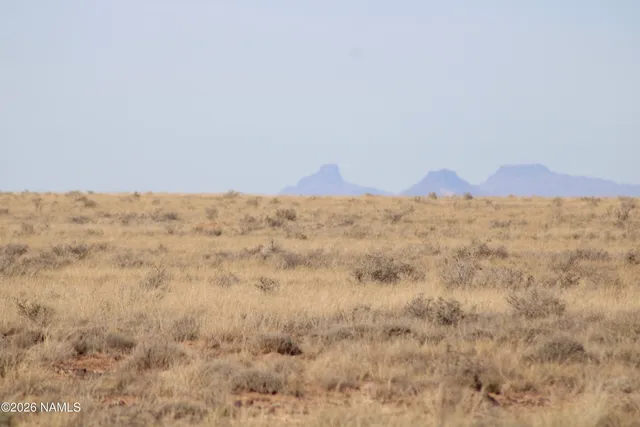 $29,500 | 0 Pinto Road, Heber, AZ 85928