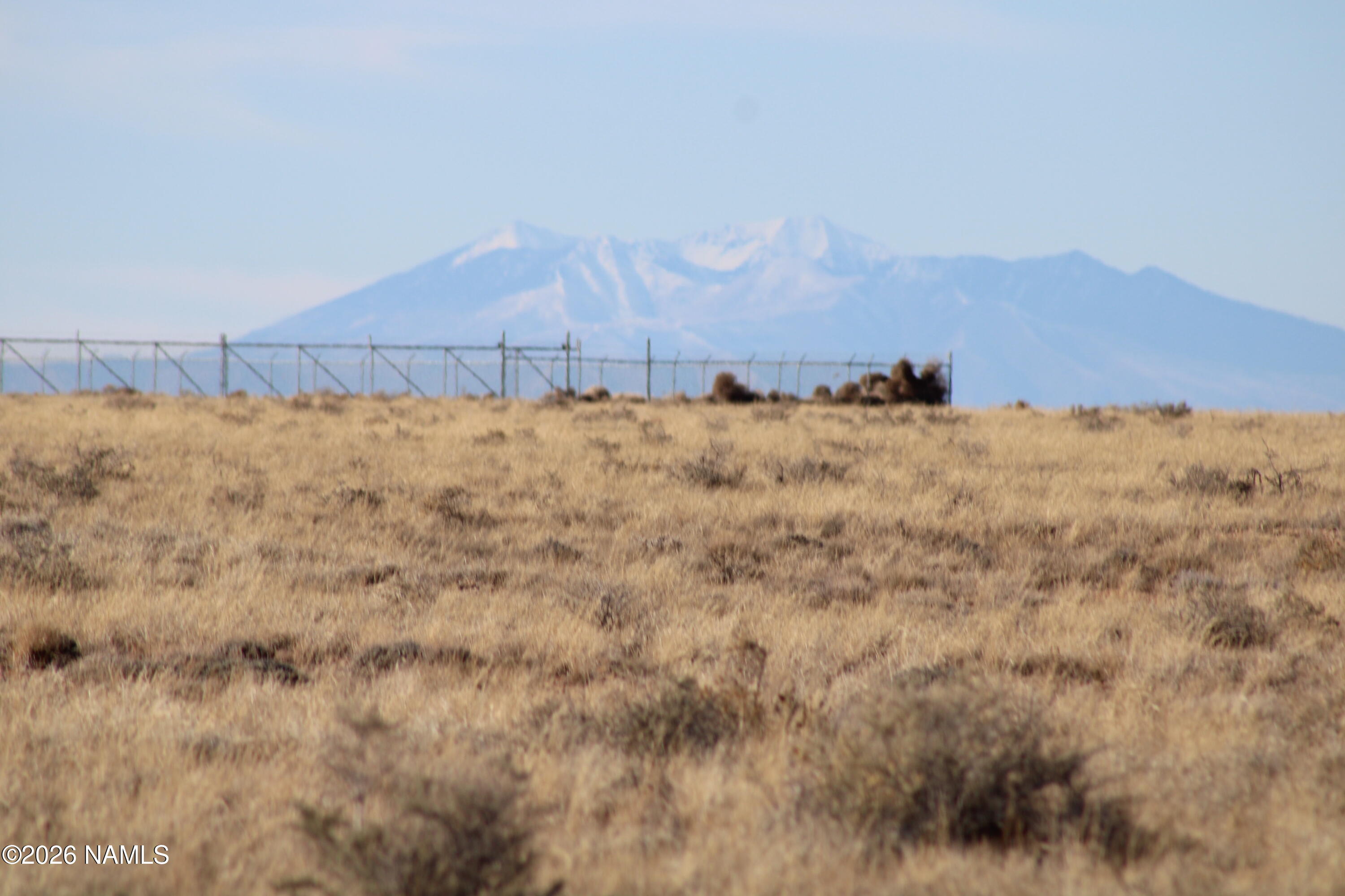 0 Pinto Road Heber, AZ 85928 - Photo 2 of 11 a view of a dry yard with mountain