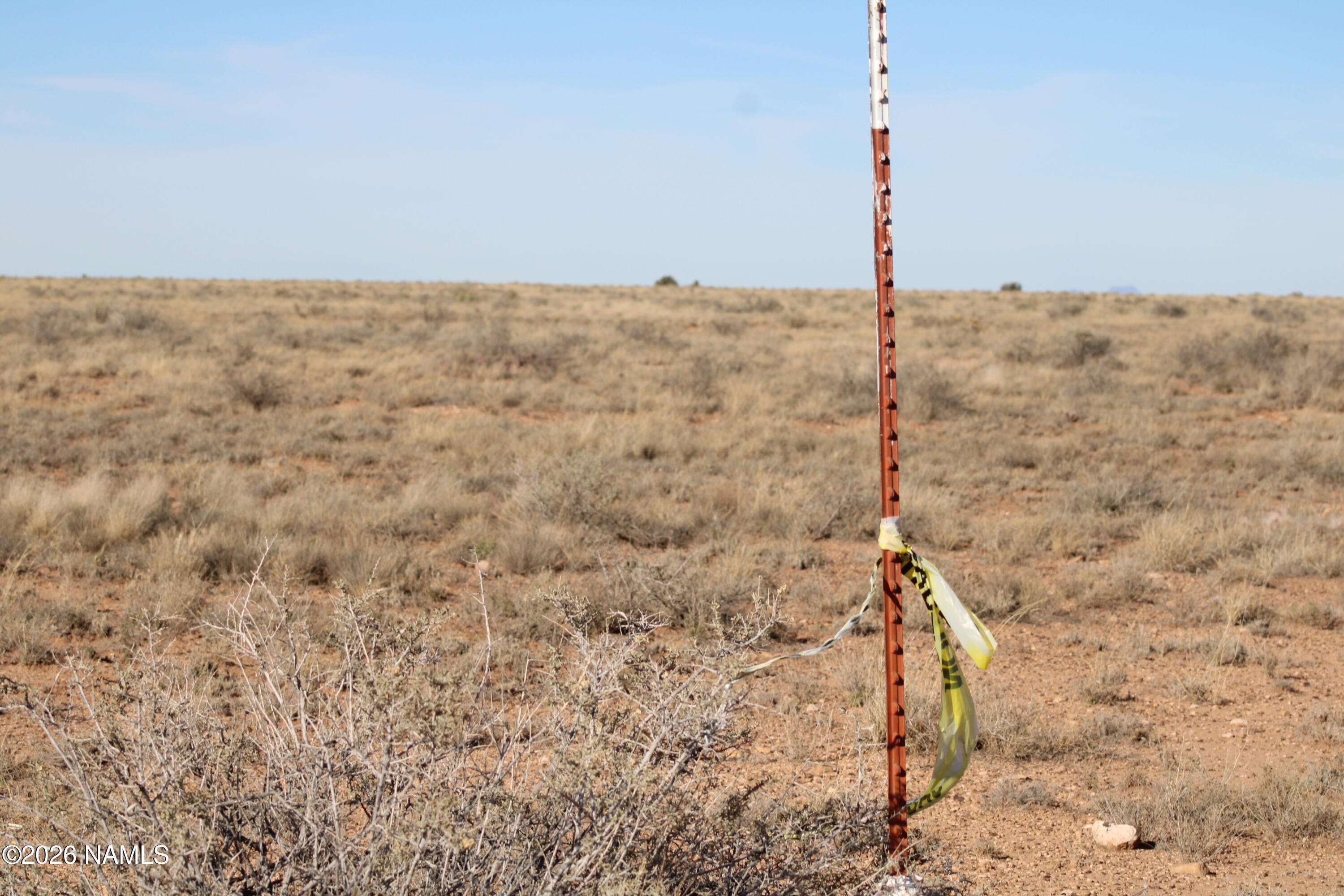0 Pinto Road Heber, AZ 85928 - Photo 6 of 11 a view of a dry yard