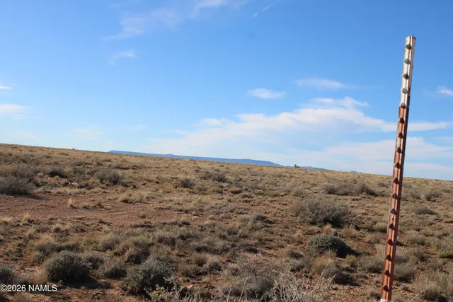 a view of a beach with a city view