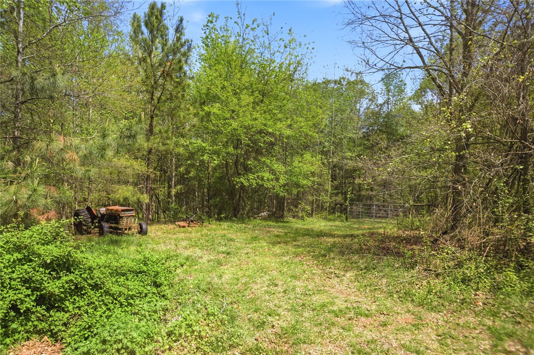 199 Williams Farm Road Westminster, SC 29693 - Photo 29 of 47 This tranquil lot offers a private, natural setting, ideal for a serene retreat.
