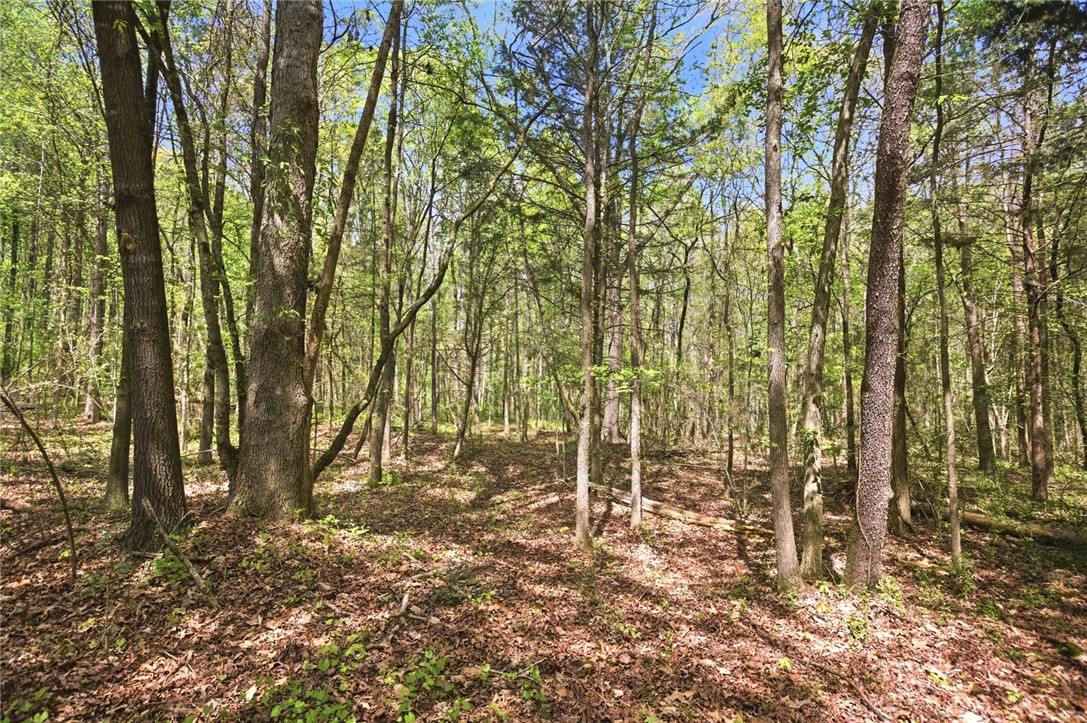 199 Williams Farm Road Westminster, SC 29693 - Photo 31 of 47 Wooded lot offering serene surroundings and ample space for privacy and connection with nature.