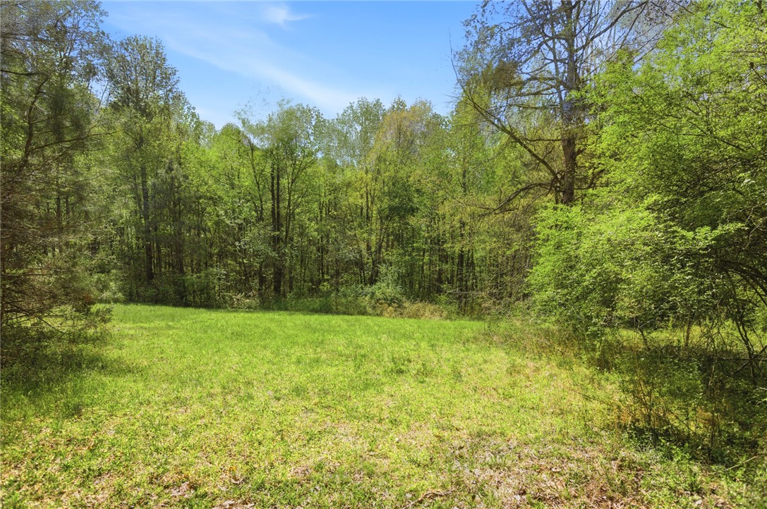 199 Williams Farm Road Westminster, SC 29693 - Photo 32 of 47 A verdant clearing awaits, surrounded by lush woodland.
