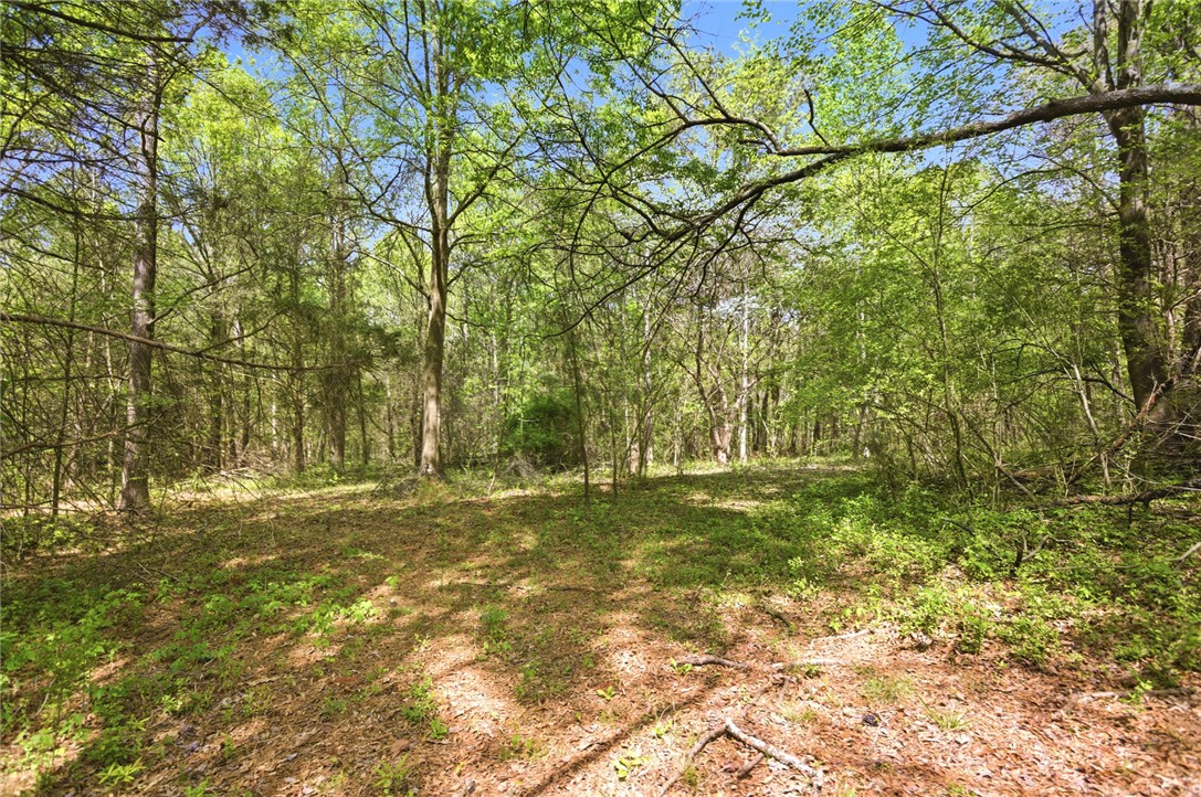 199 Williams Farm Road Westminster, SC 29693 - Photo 33 of 47 This tranquil wooded lot offers a peaceful retreat for your ideal home.