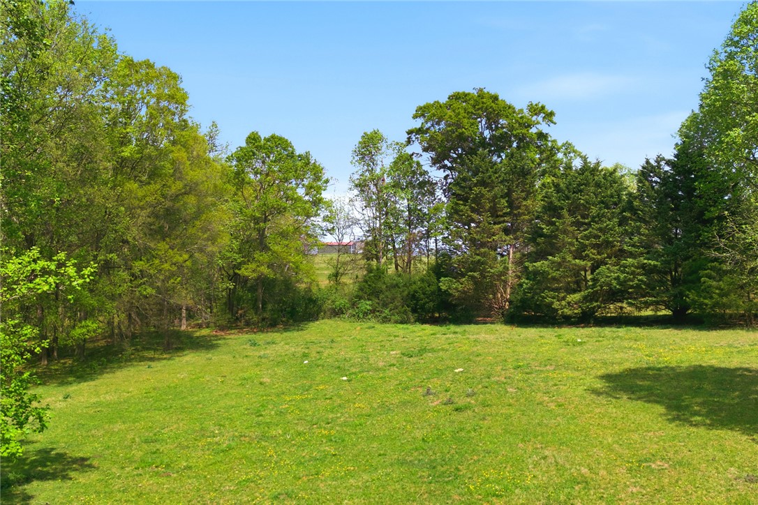 199 Williams Farm Road Westminster, SC 29693 - Photo 45 of 47 Expansive green yard with mature trees offers serene natural surroundings.
