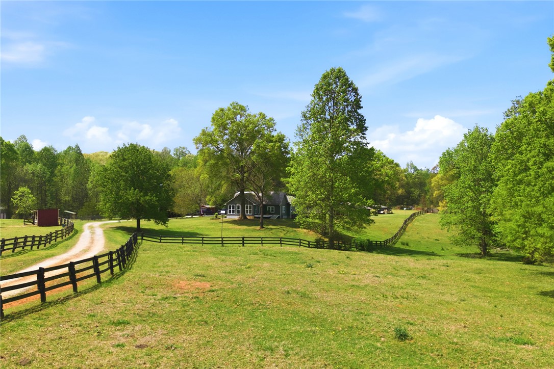 199 Williams Farm Road Westminster, SC 29693 - Photo 46 of 47 A picturesque rural setting with a winding driveway and lush greenery.