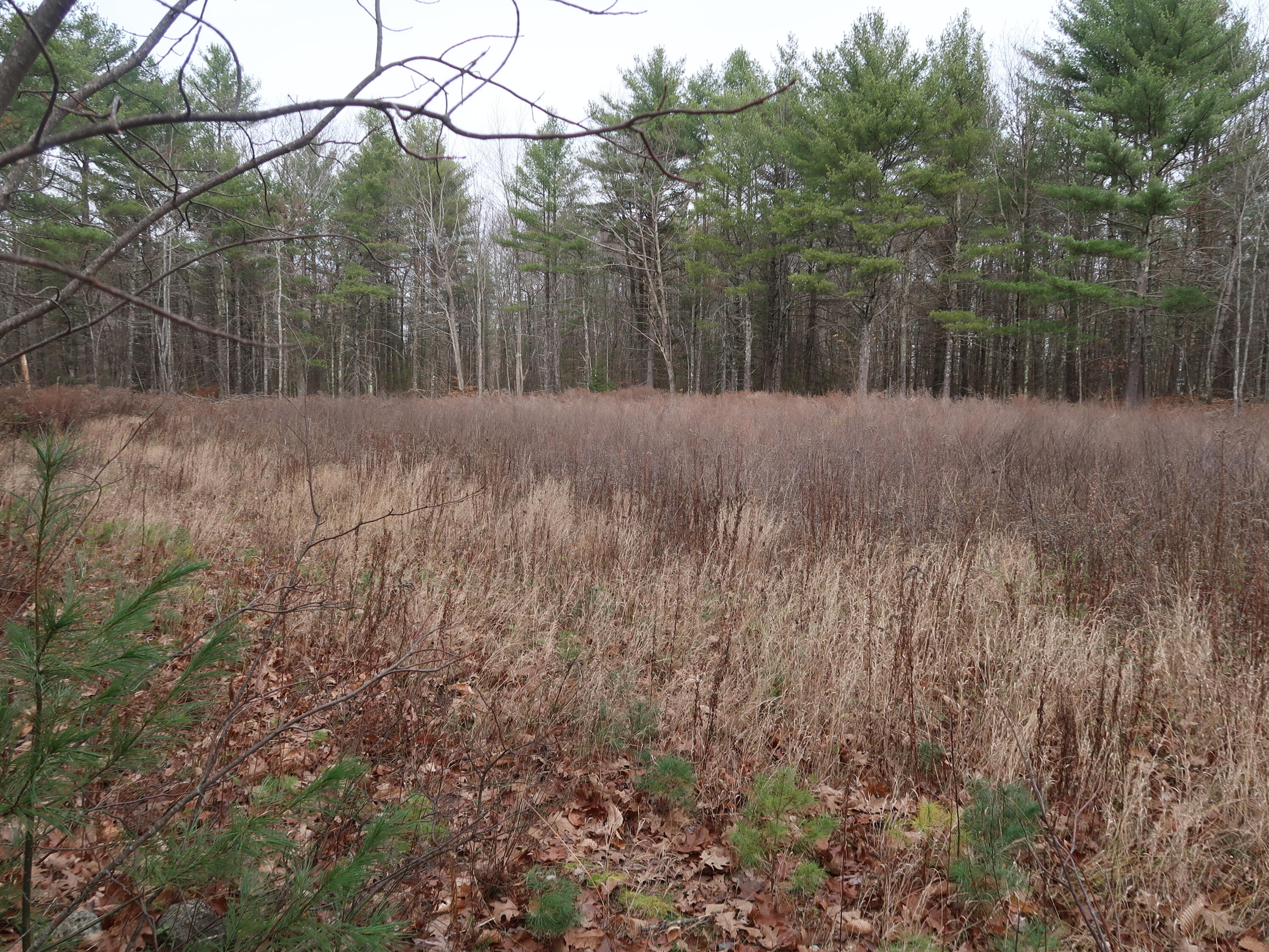 614 Windsor Road Augusta, ME 04330 - Photo 17 of 56 IMG_0255