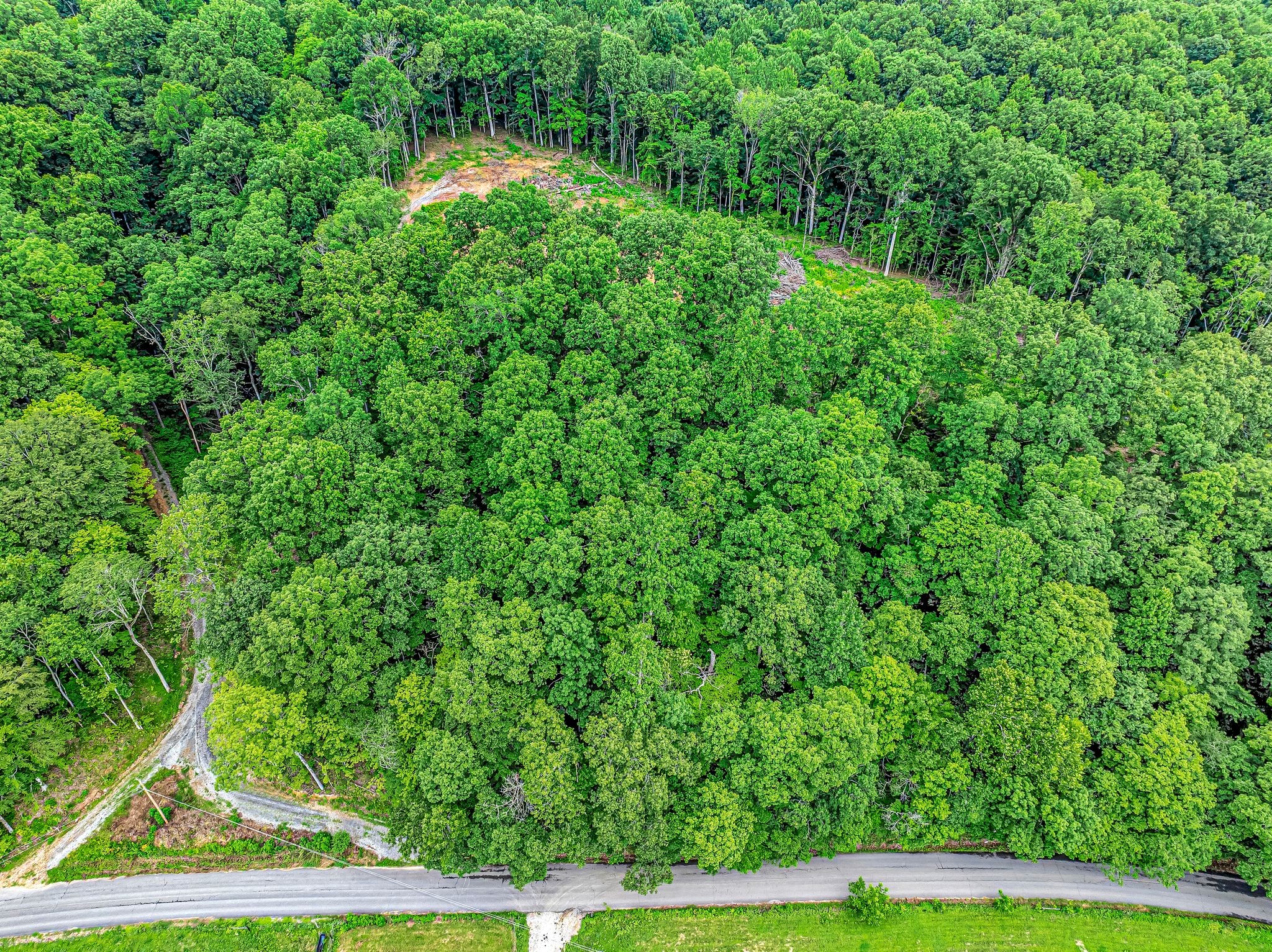 0 Grindstone Hollow Road Dickson, TN 37055 - Photo 2 of 10 a view of a yard in a backyard