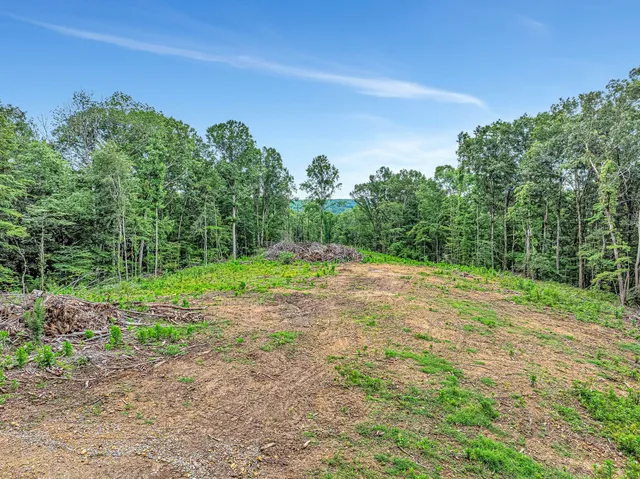 a view of a field with trees in background