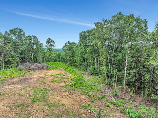 a view of a yard with a tree
