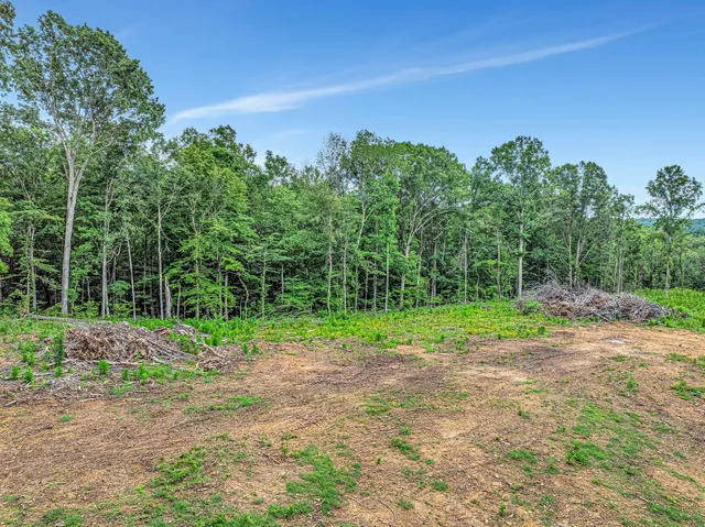 a view of a yard with a tree