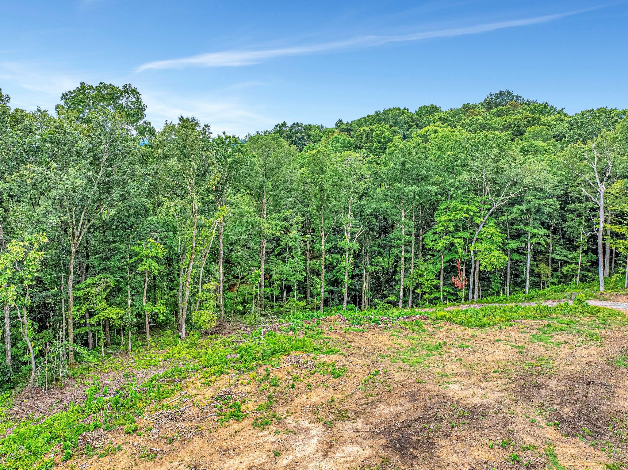 0 Grindstone Hollow Road Dickson, TN 37055 - Photo 7 of 10 a view of a park with large trees
