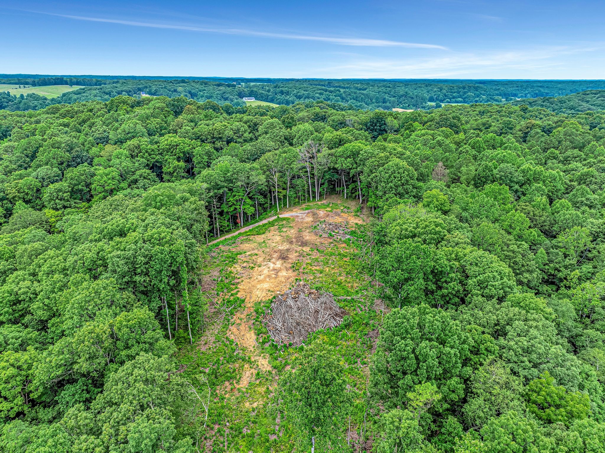 0 Grindstone Hollow Road Dickson, TN 37055 - Photo 8 of 10 a view of a yard with an outdoor space