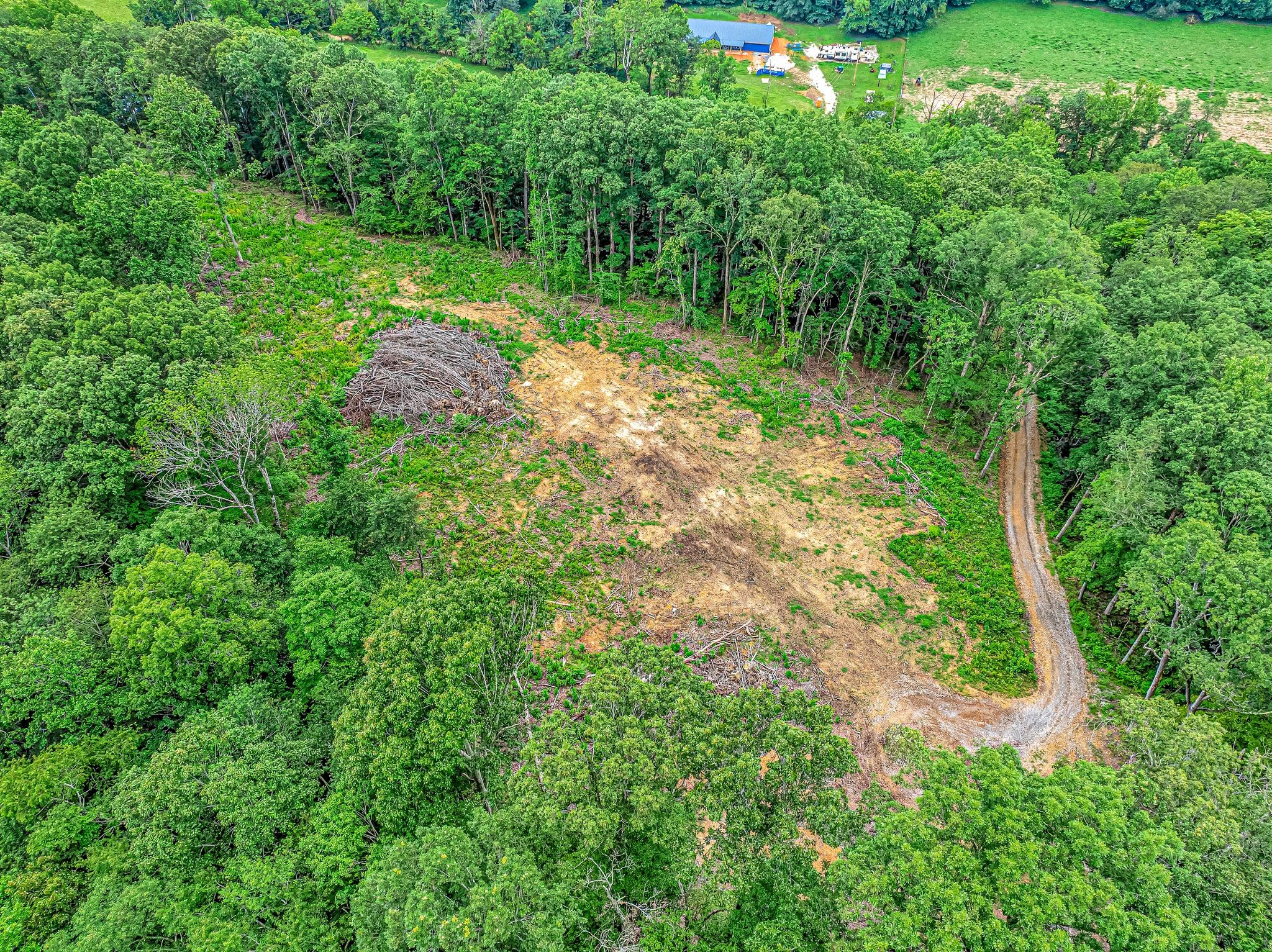 0 Grindstone Hollow Road Dickson, TN 37055 - Photo 9 of 10 a backyard of a house with lots of green space