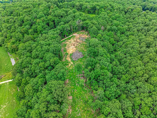 a view of a garden with a small yard