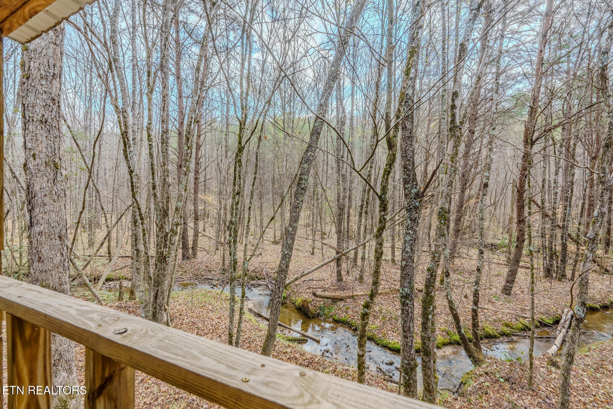 1259 Steve Brown Road Bean Station, TN 37708 - Photo 3 of 6