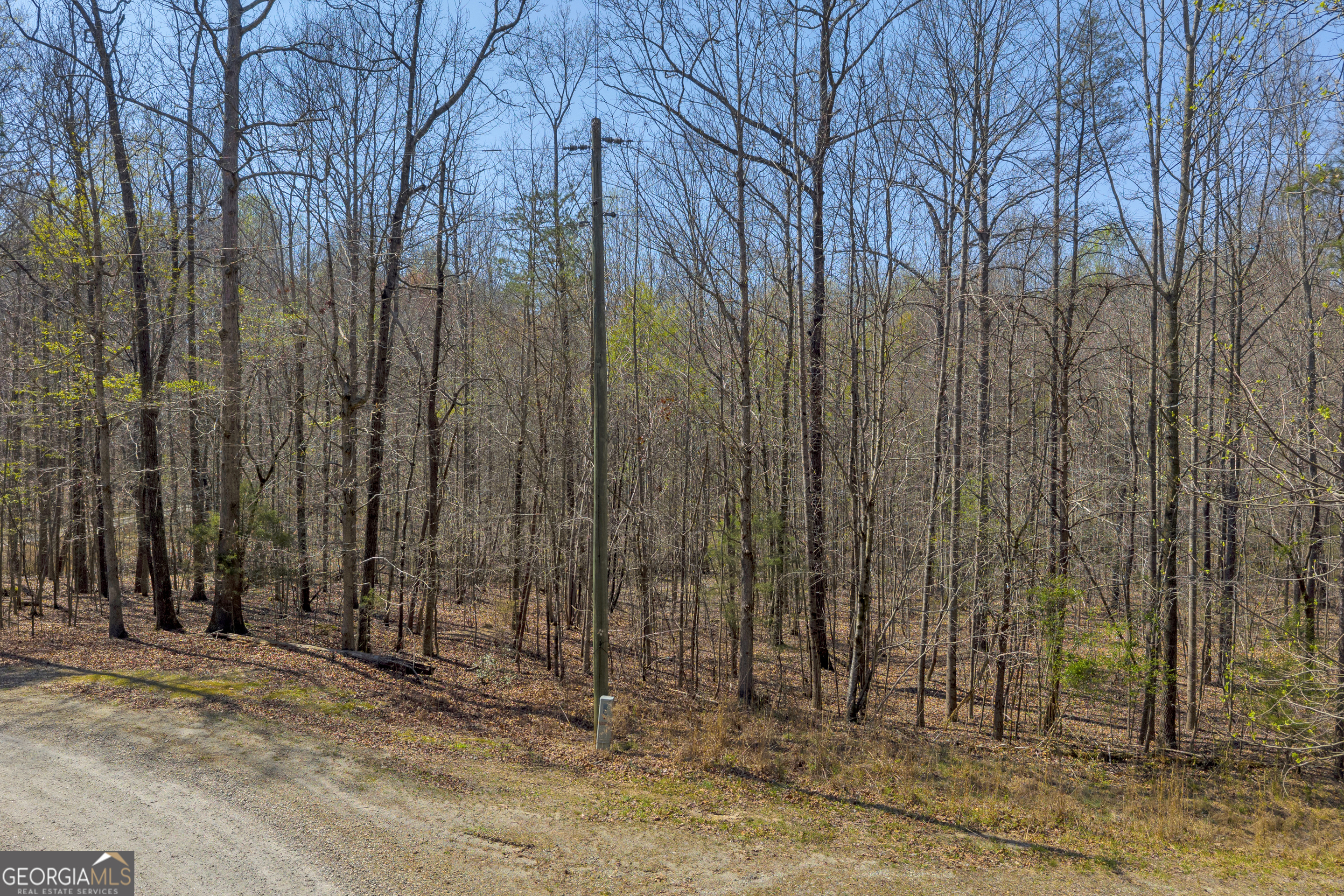 300 Rolling Rock Road Carnesville, GA 30521 - Photo 11 of 16