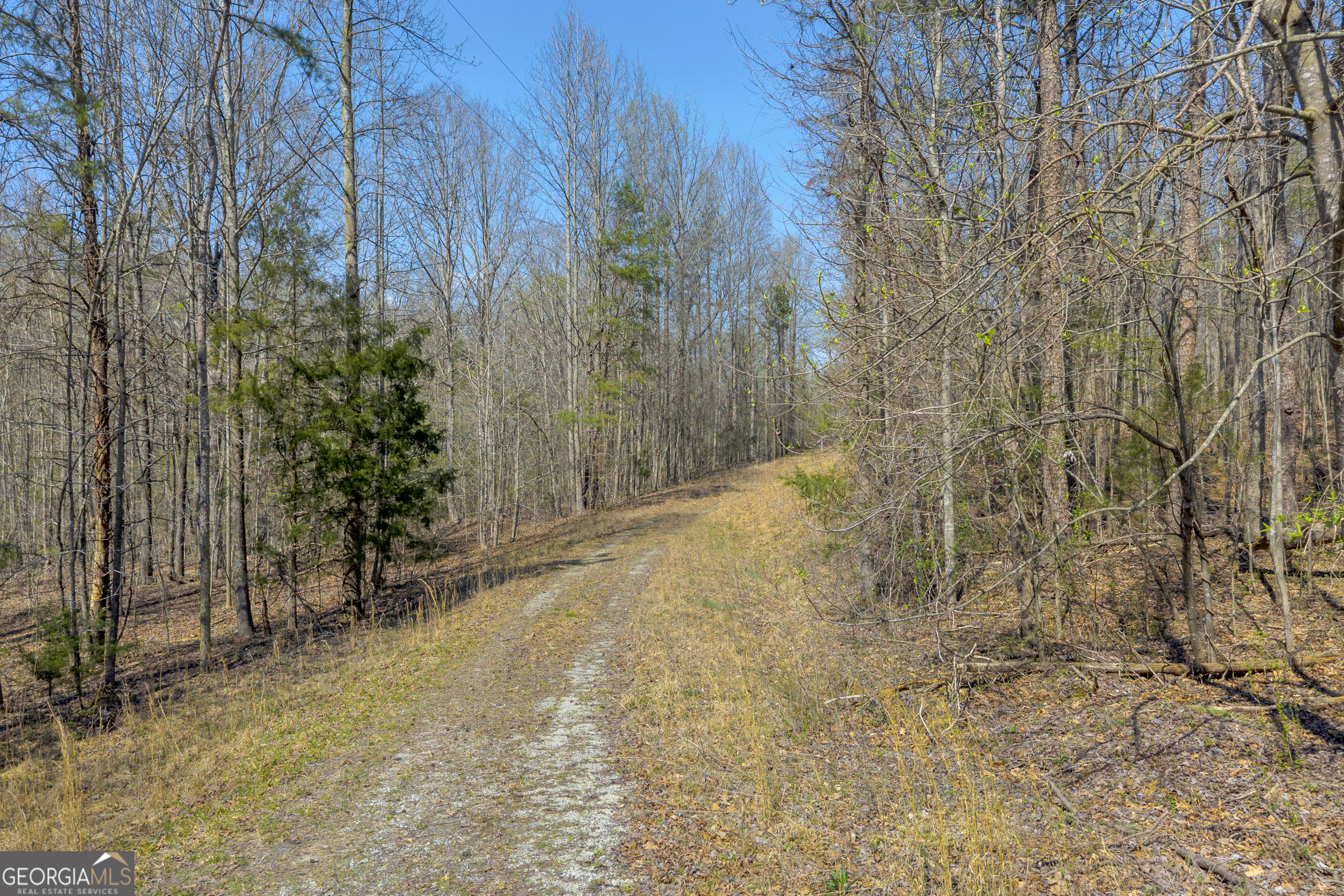 300 Rolling Rock Road Carnesville, GA 30521 - Photo 12 of 16