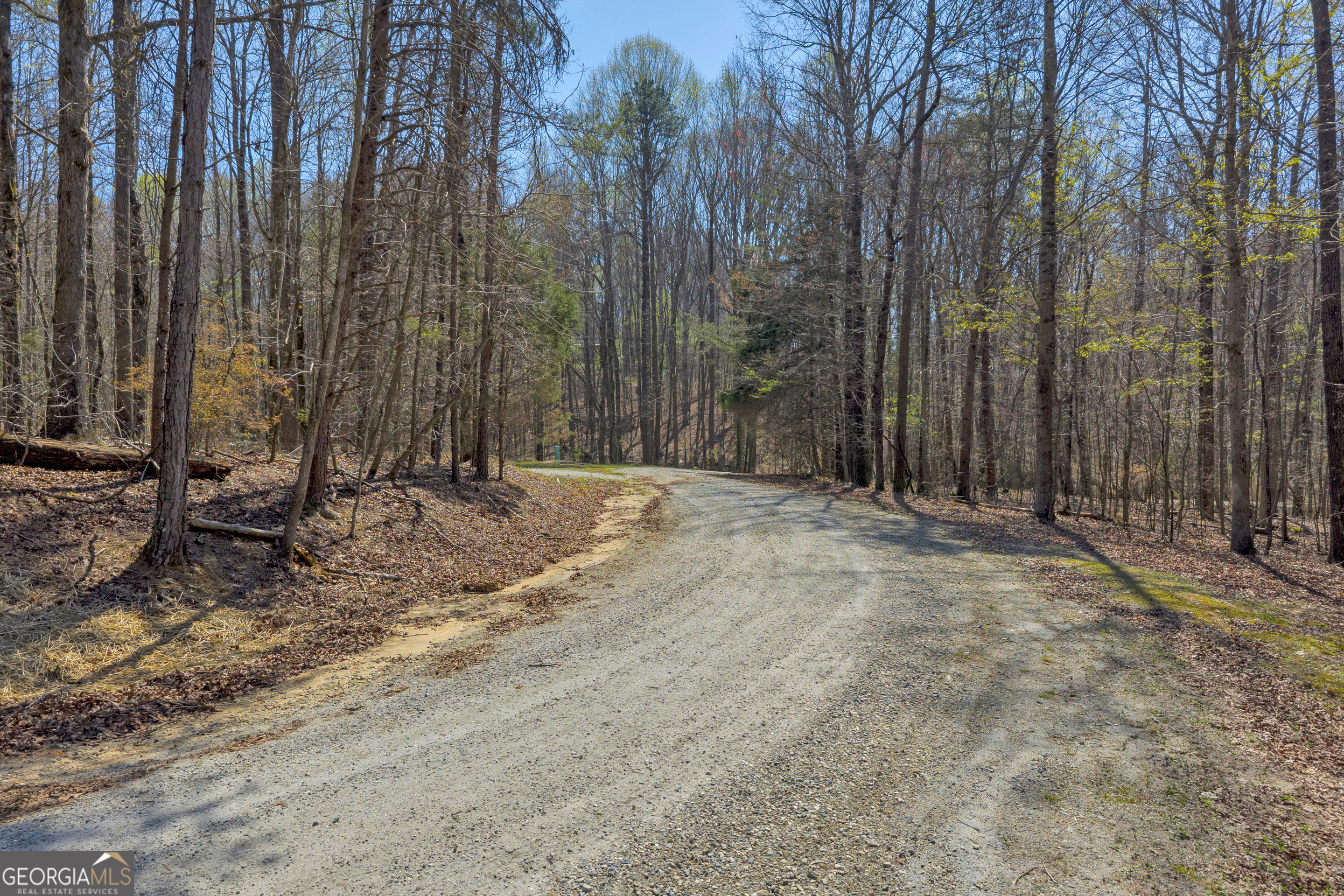 300 Rolling Rock Road Carnesville, GA 30521 - Photo 13 of 16
