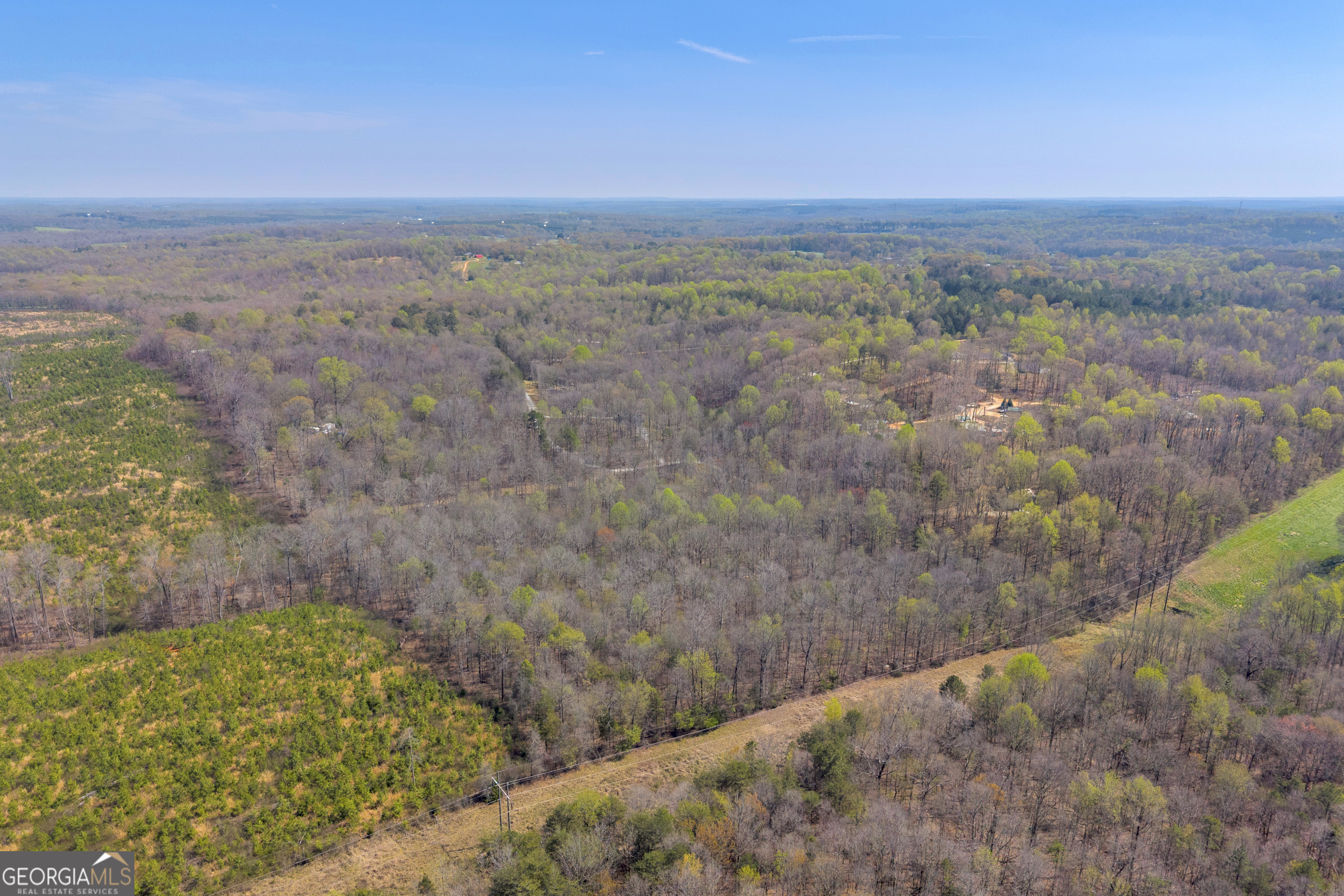 300 Rolling Rock Road Carnesville, GA 30521 - Photo 14 of 16