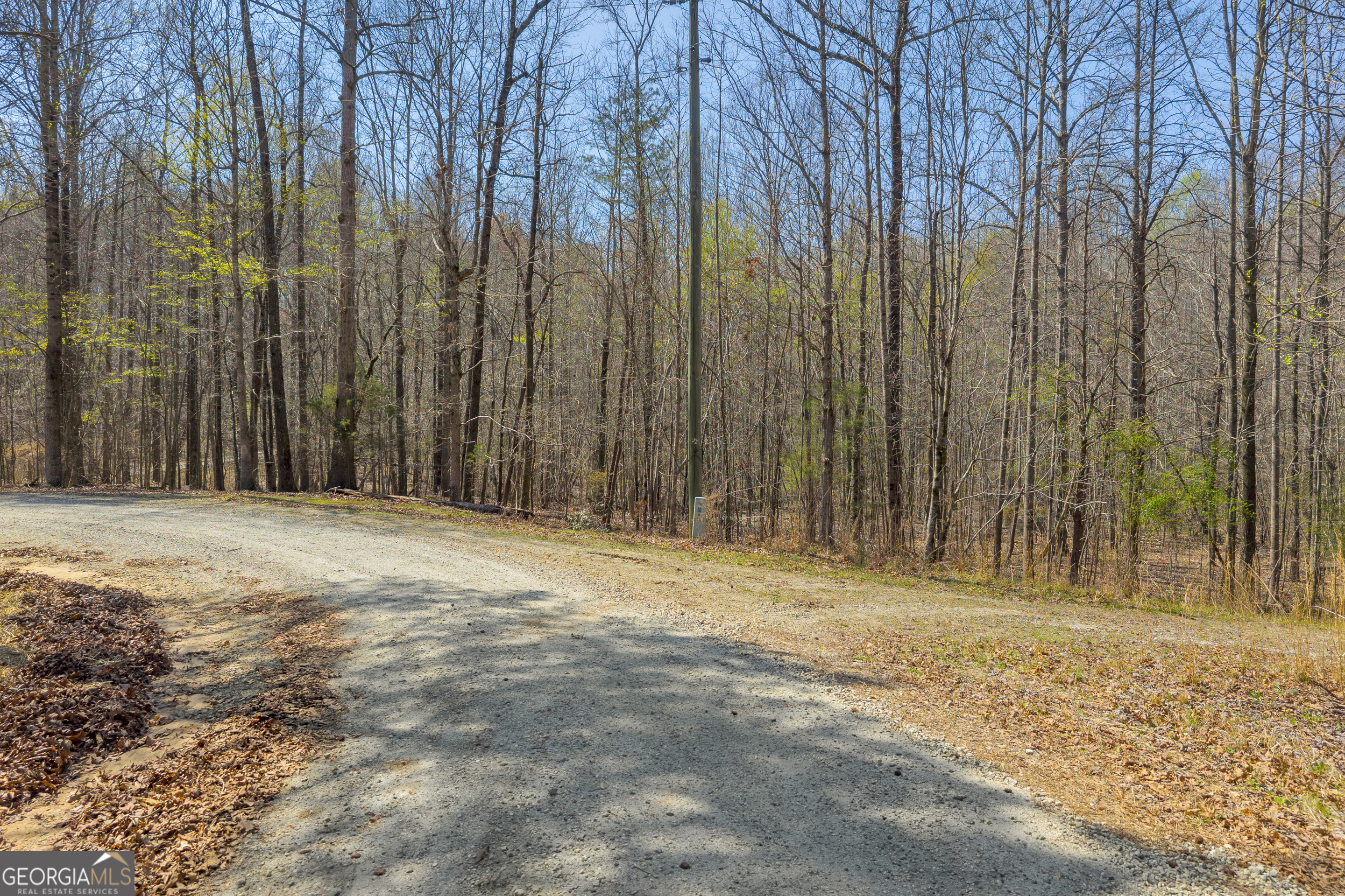 300 Rolling Rock Road Carnesville, GA 30521 - Photo 16 of 16