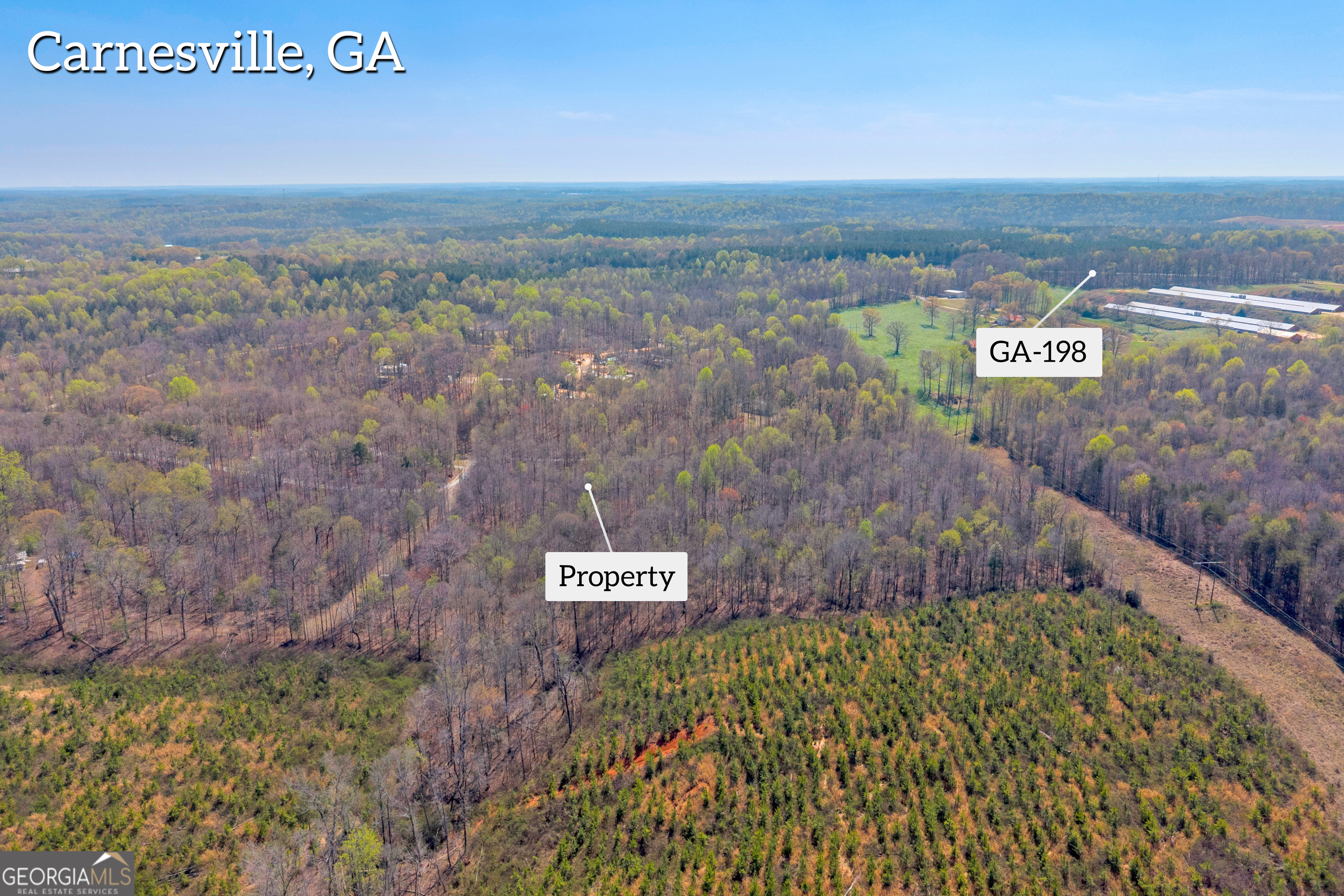 300 Rolling Rock Road Carnesville, GA 30521 - Photo 3 of 16