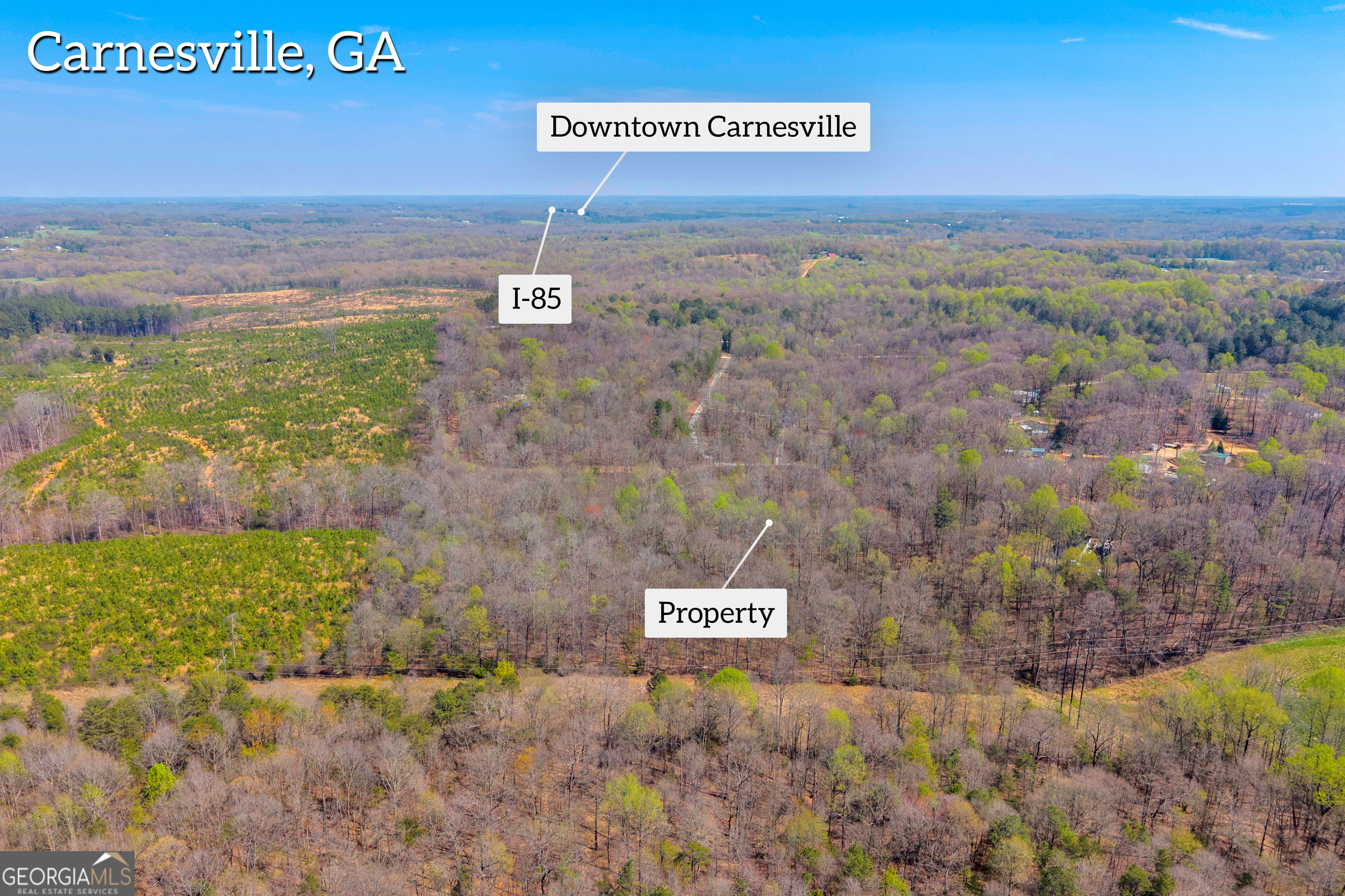 300 Rolling Rock Road Carnesville, GA 30521 - Photo 5 of 16