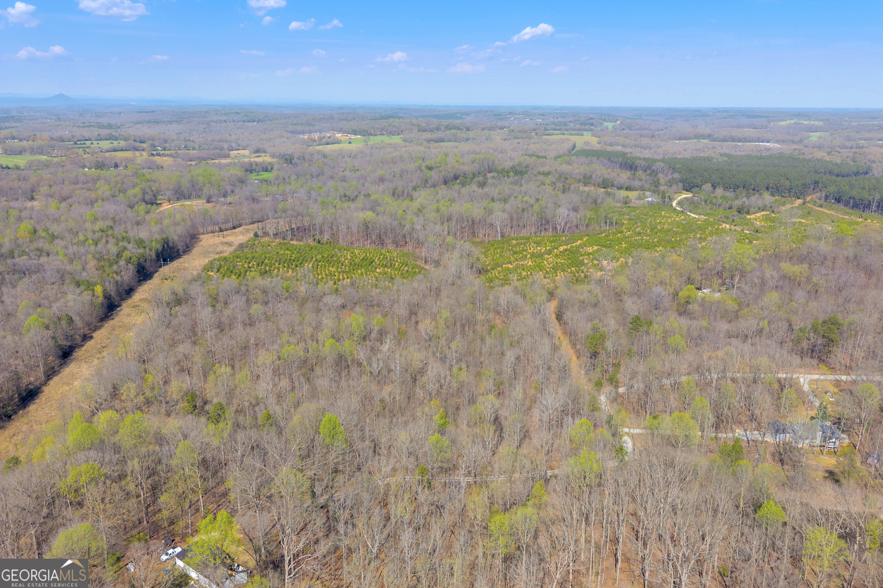 300 Rolling Rock Road Carnesville, GA 30521 - Photo 6 of 16