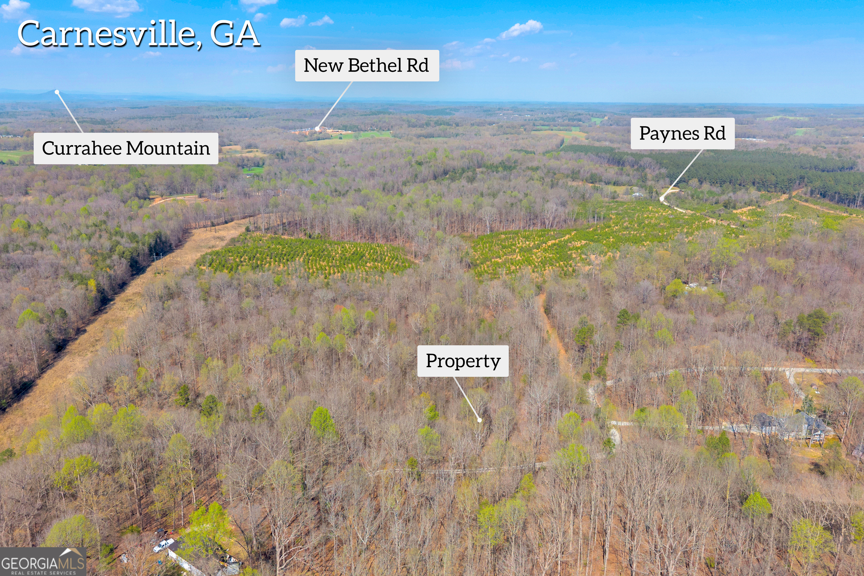 300 Rolling Rock Road Carnesville, GA 30521 - Photo 7 of 16