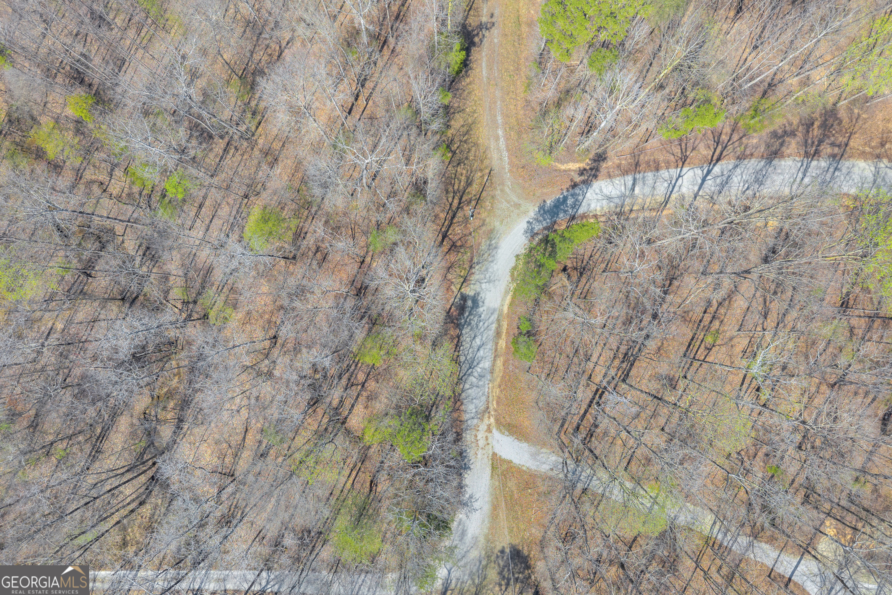 300 Rolling Rock Road Carnesville, GA 30521 - Photo 9 of 16