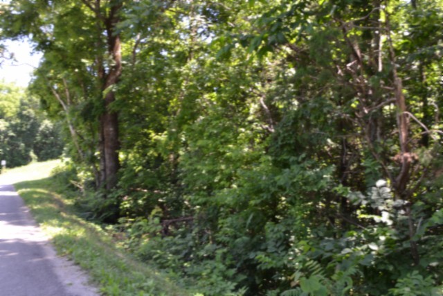 0 Pea Ridge Fire Tower Road Celina, TN 38551 - Photo 30 of 53