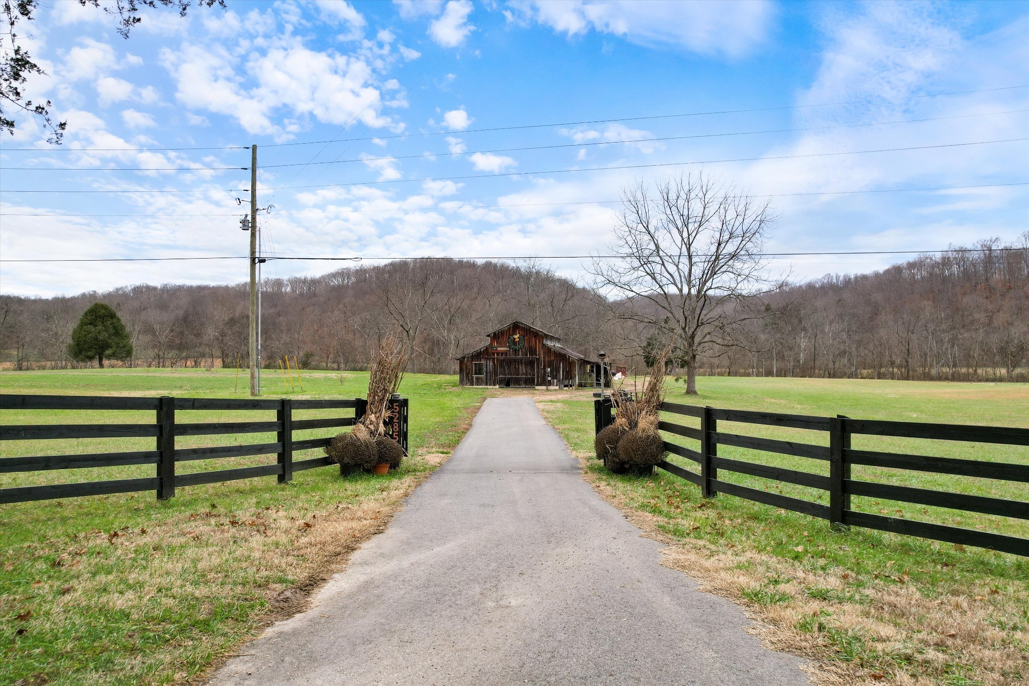 5285 Old Harding Road Franklin, TN 37064 - Photo 11 of 19 a view of park with large tree