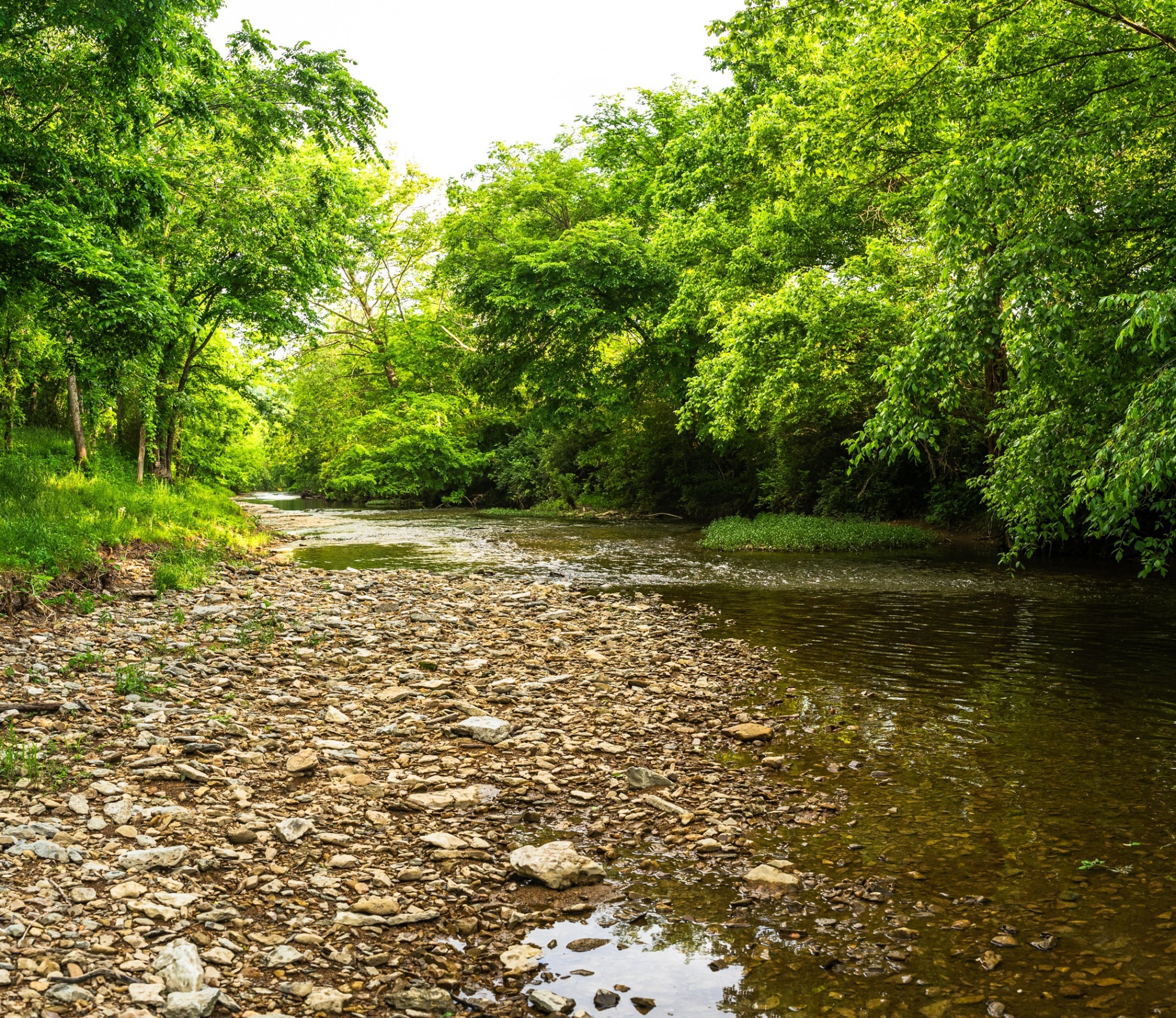 5285 Old Harding Road Franklin, TN 37064 - Photo 17 of 19 a view of a lake view