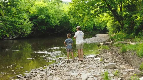 a water fountain in the middle of a lake view