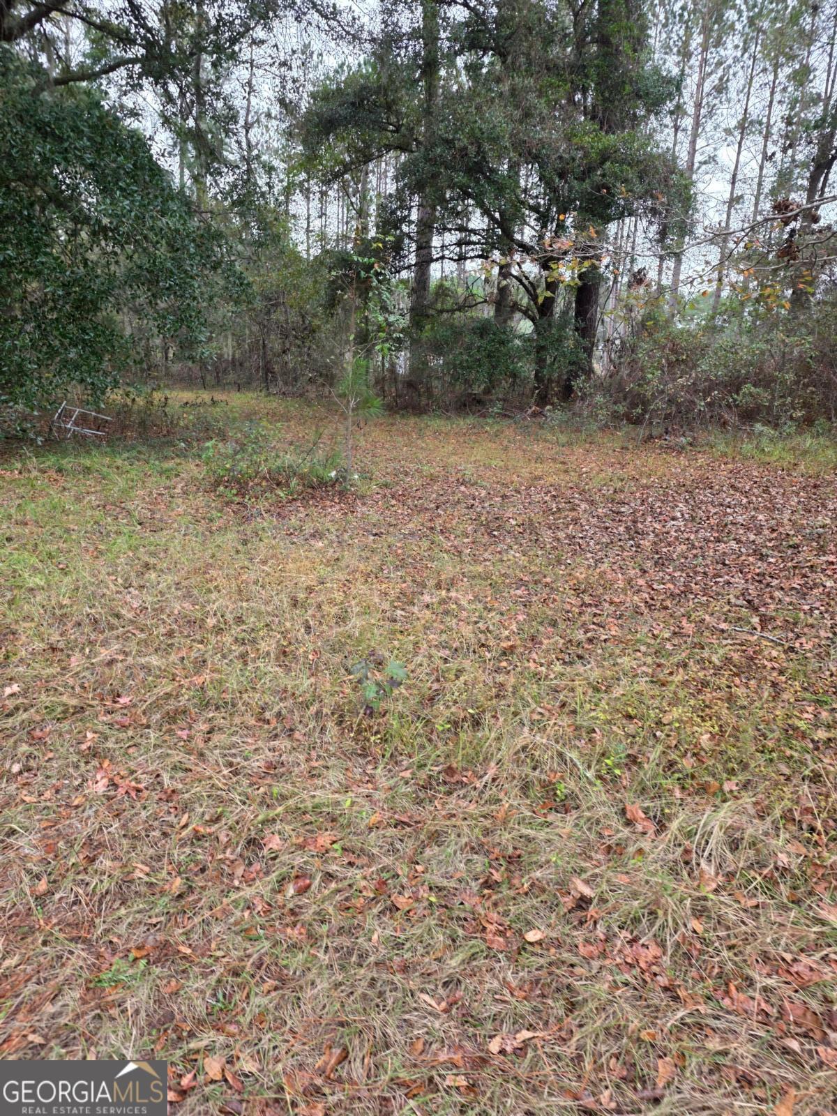 861 Brinson Road Brooklet, GA 30415 - Photo 1 of 7