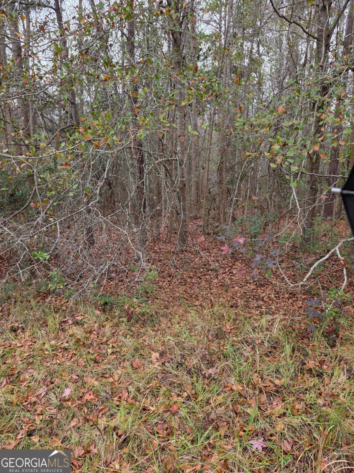 861 Brinson Road Brooklet, GA 30415 - Photo 2 of 7