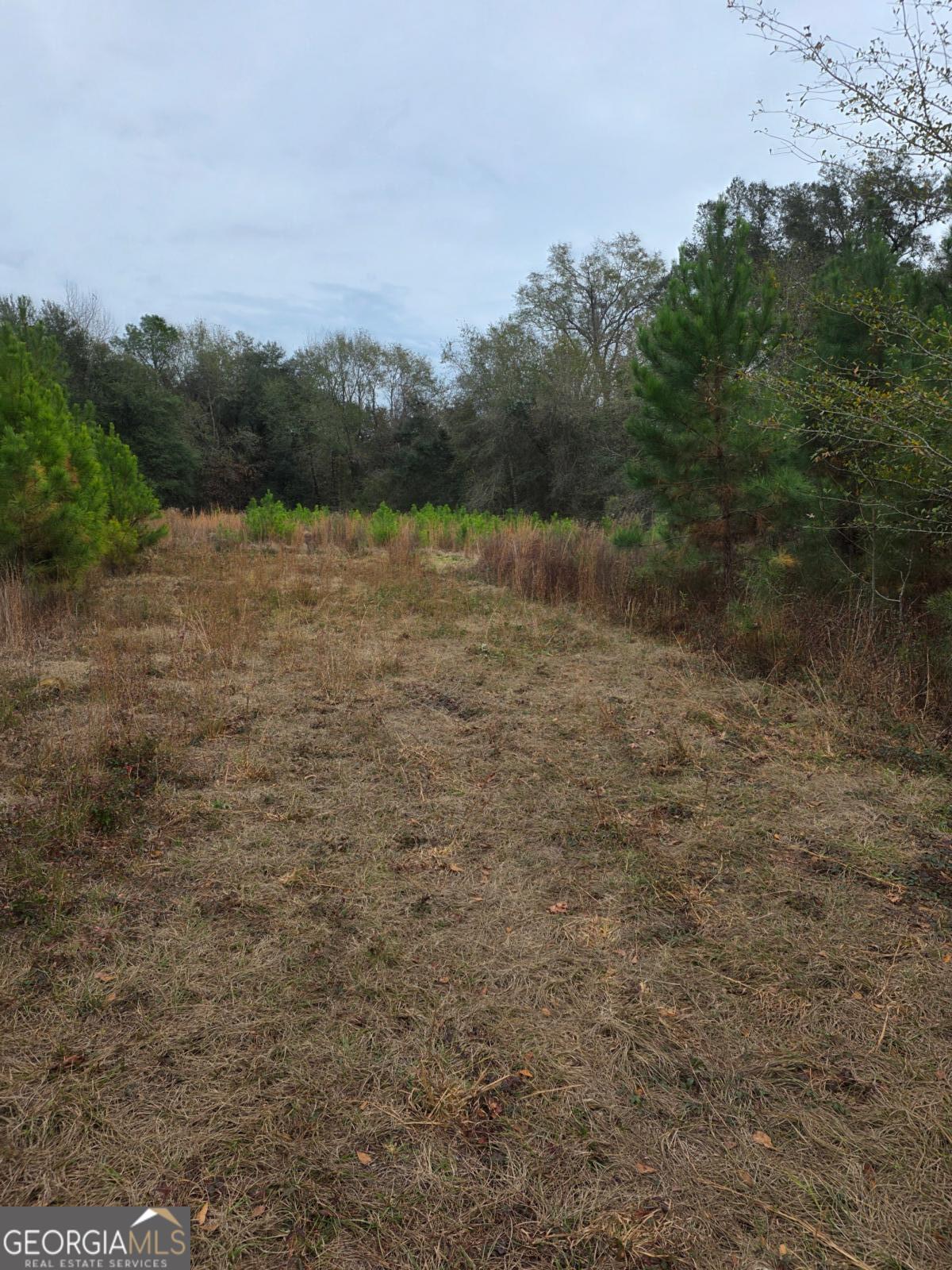 861 Brinson Road Brooklet, GA 30415 - Photo 3 of 7