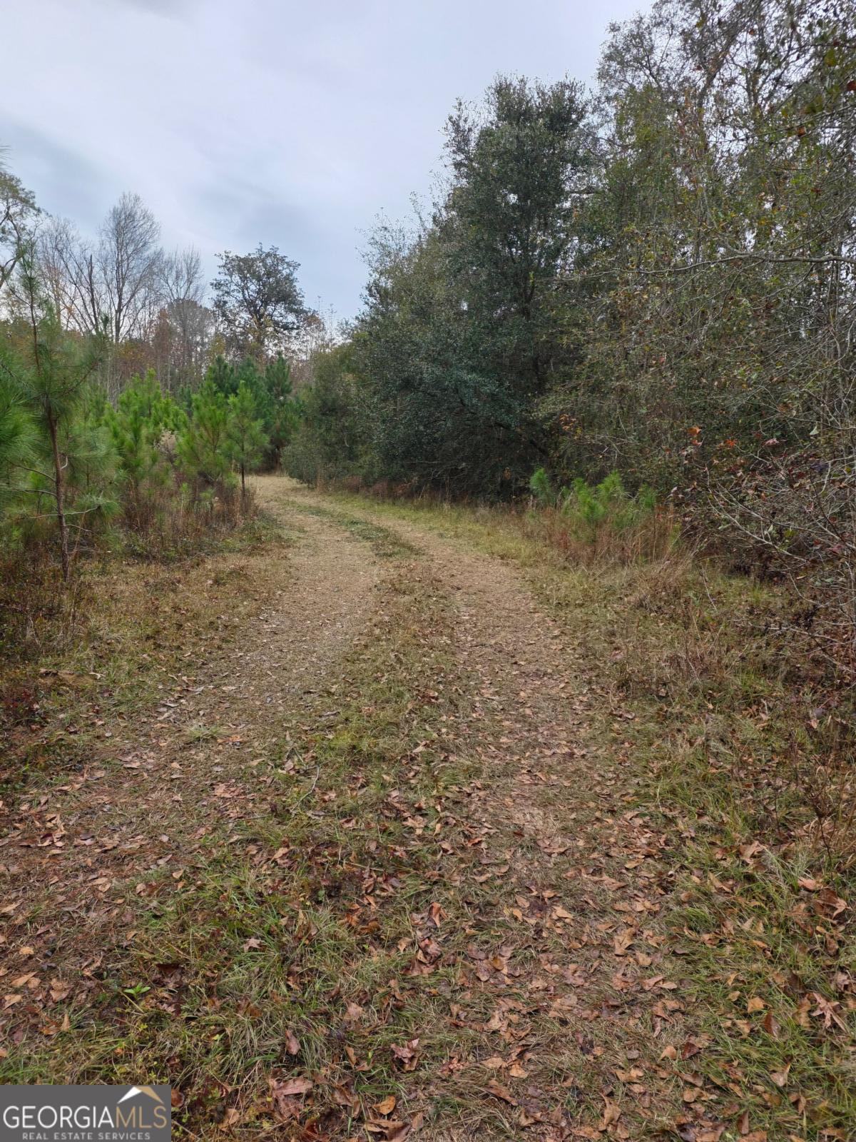 861 Brinson Road Brooklet, GA 30415 - Photo 6 of 7