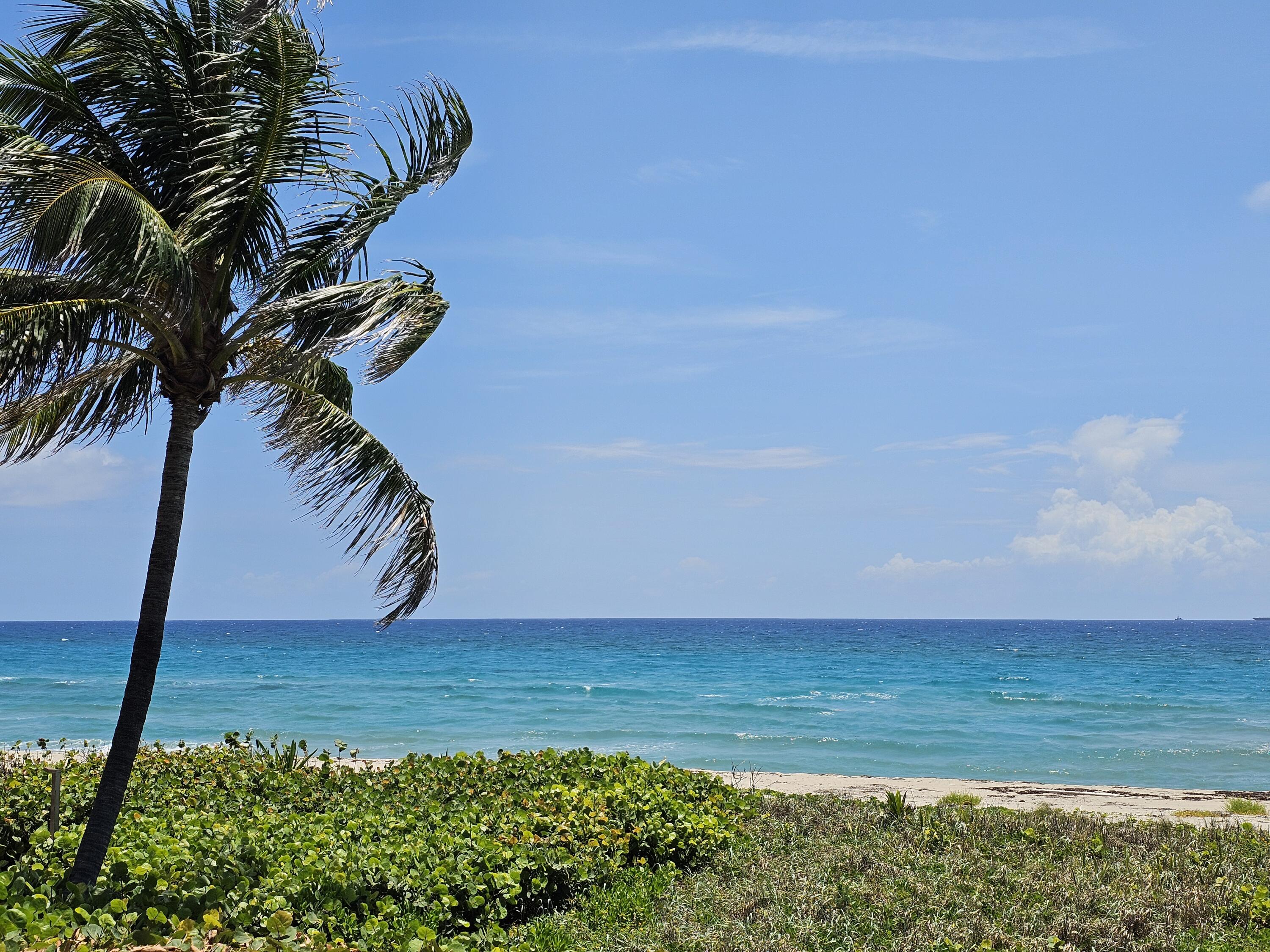 3556 B Road Loxahatchee Groves, FL 33470 - Photo 5 of 5 a view of an ocean and beach