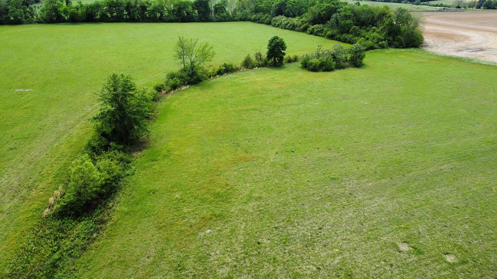 3536 Bill Yance Road Webb, AL 36376 - Photo 9 of 22