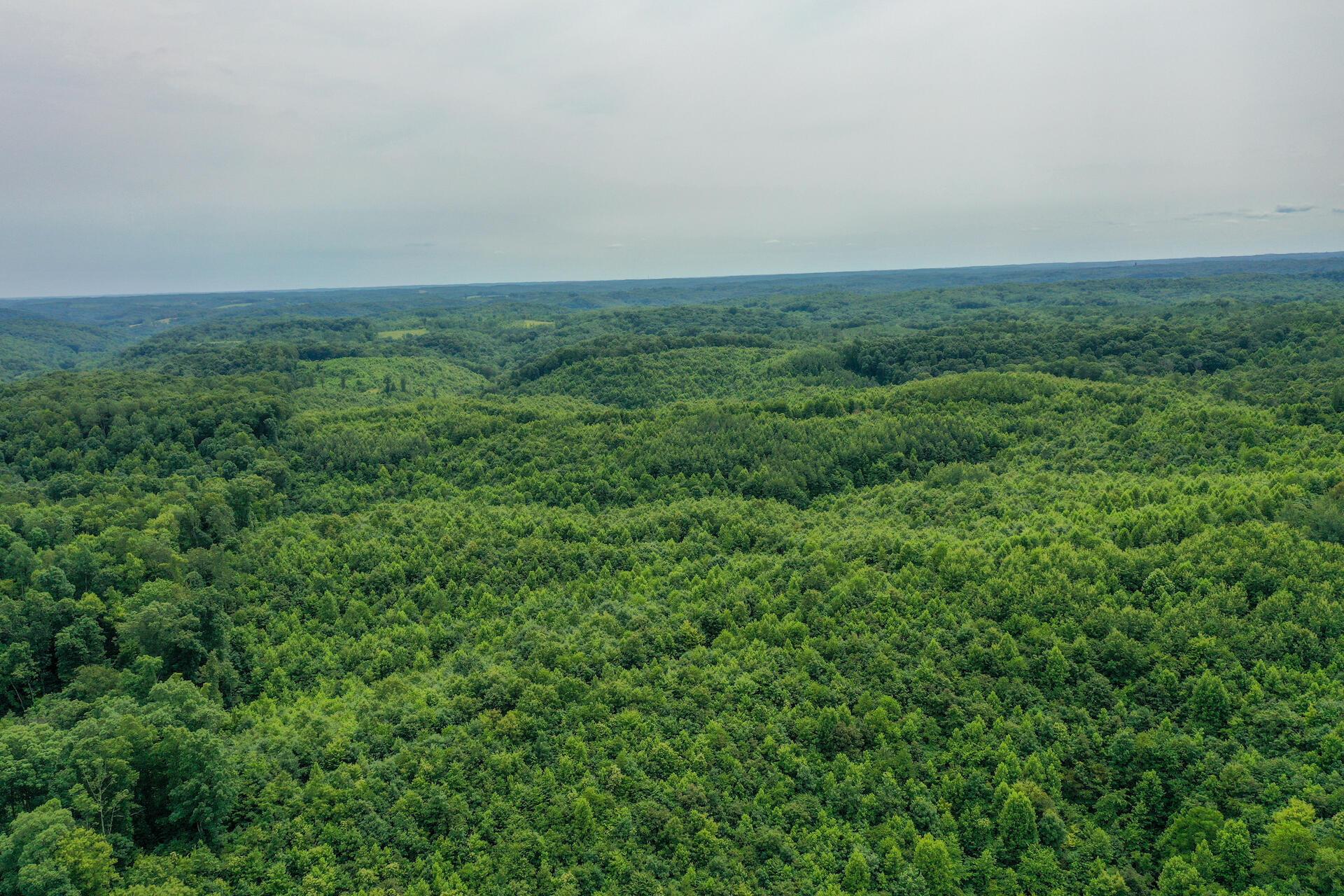 0 Ponetown Road Ray, OH 45672 - Photo 4 of 14