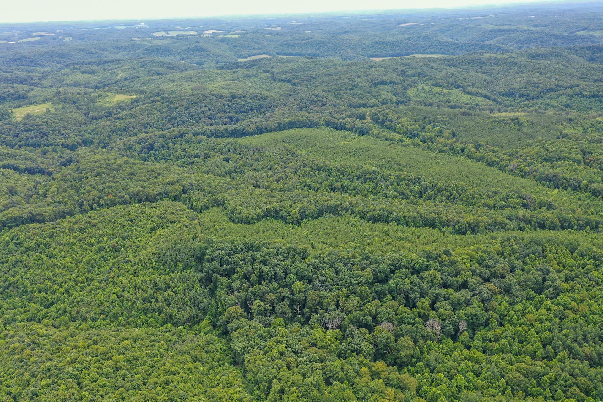 0 Ponetown Road Ray, OH 45672 - Photo 8 of 14