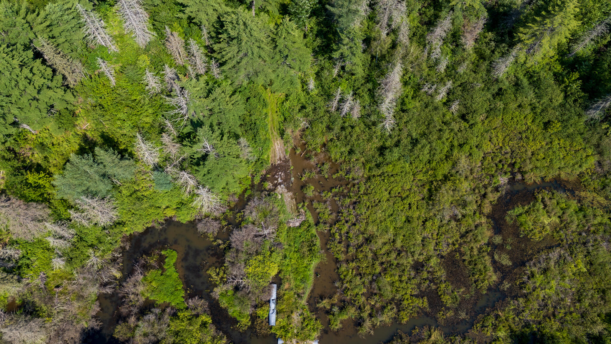 M10-l30 Canaan Road Clinton, ME 04927 - Photo 20 of 32 HDR-12